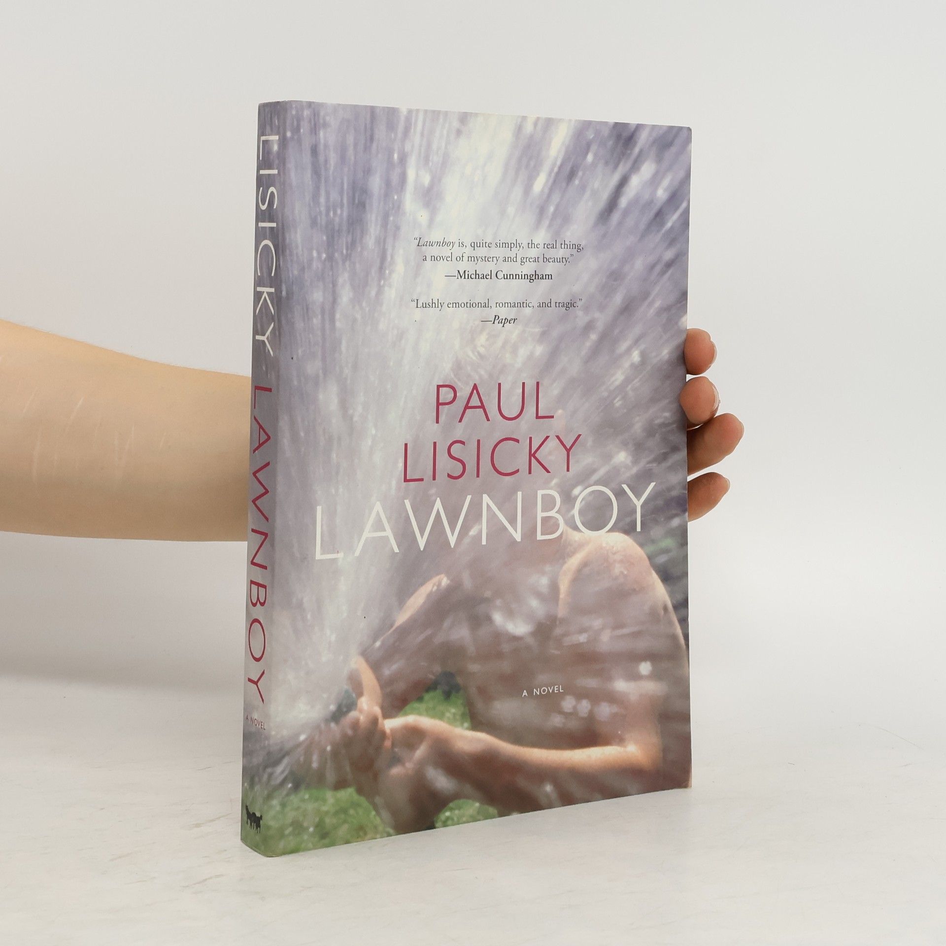 Paul Lisicky Lawnboy