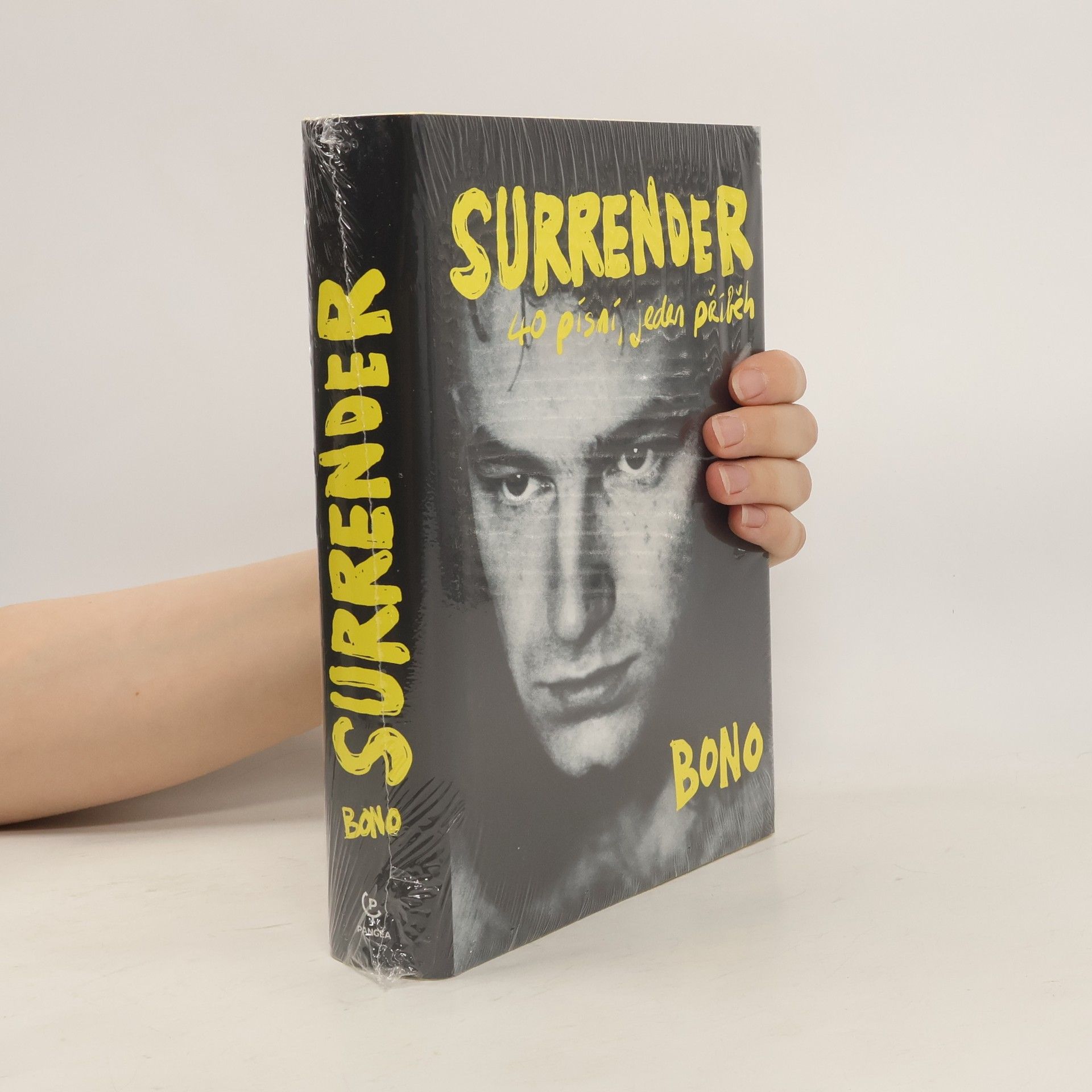 Bono Surrender : 40 písní, jeden příběh