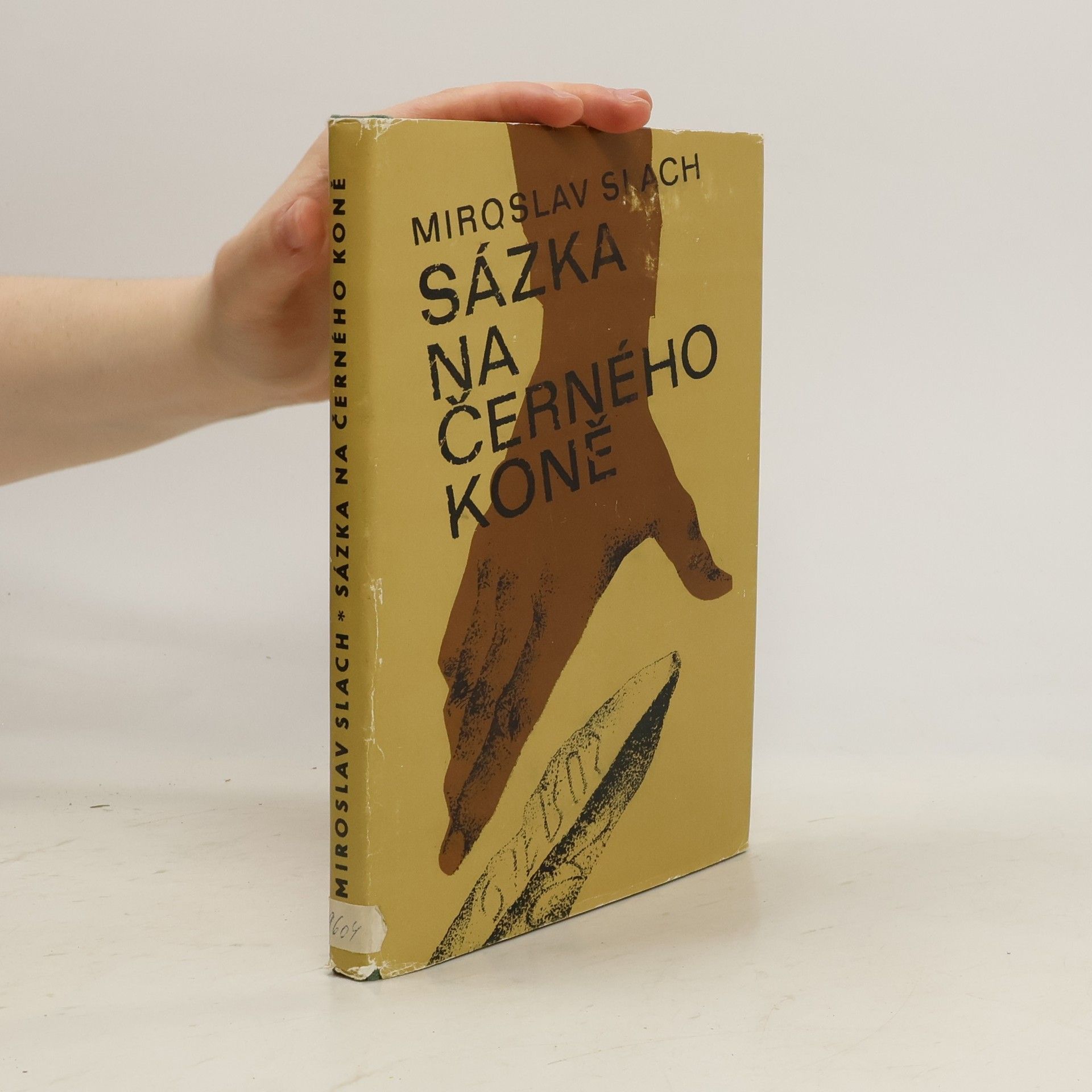 Miroslav Slach Sázka na černého koně
