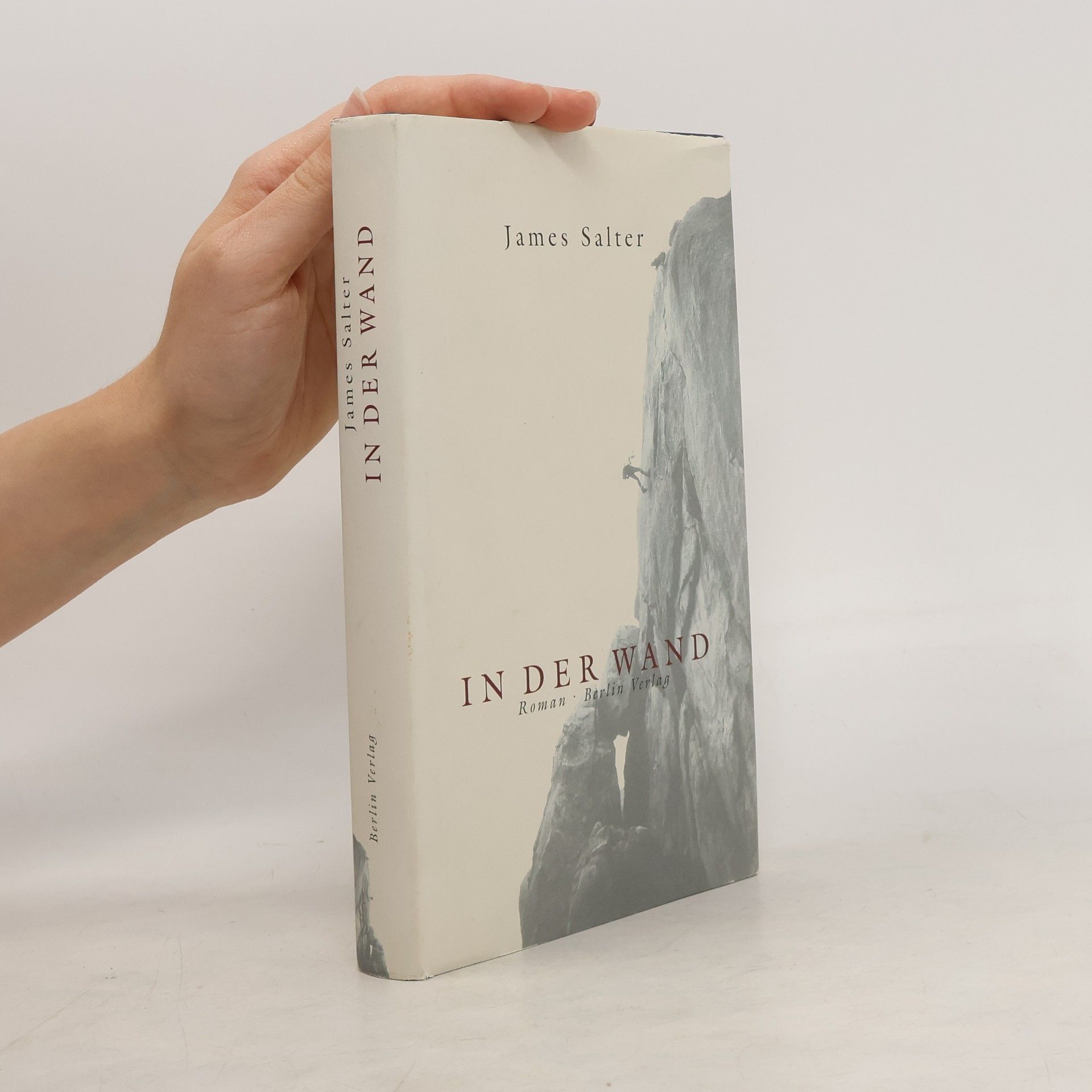 James Salter In der Wand