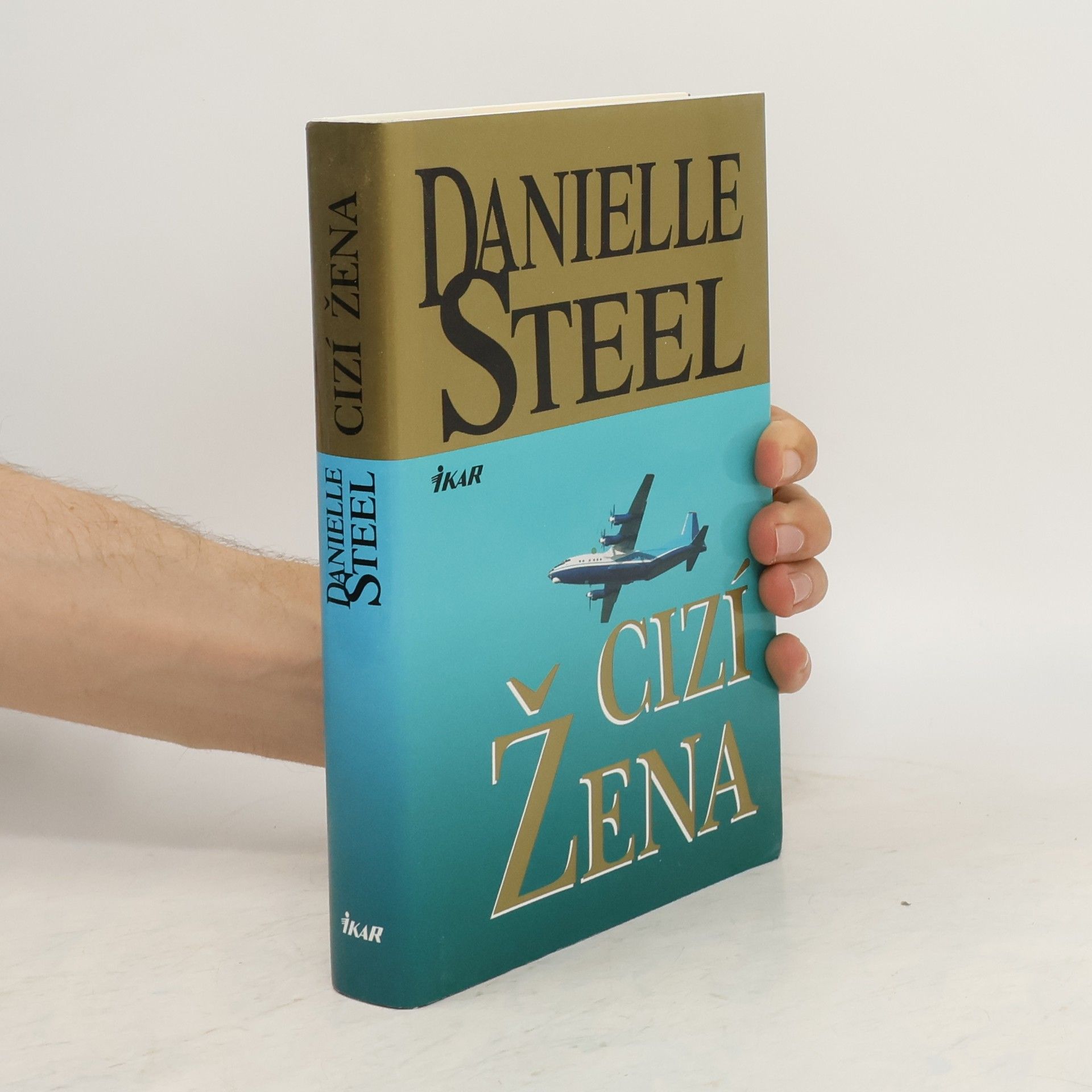 Danielle Steel Cizí žena