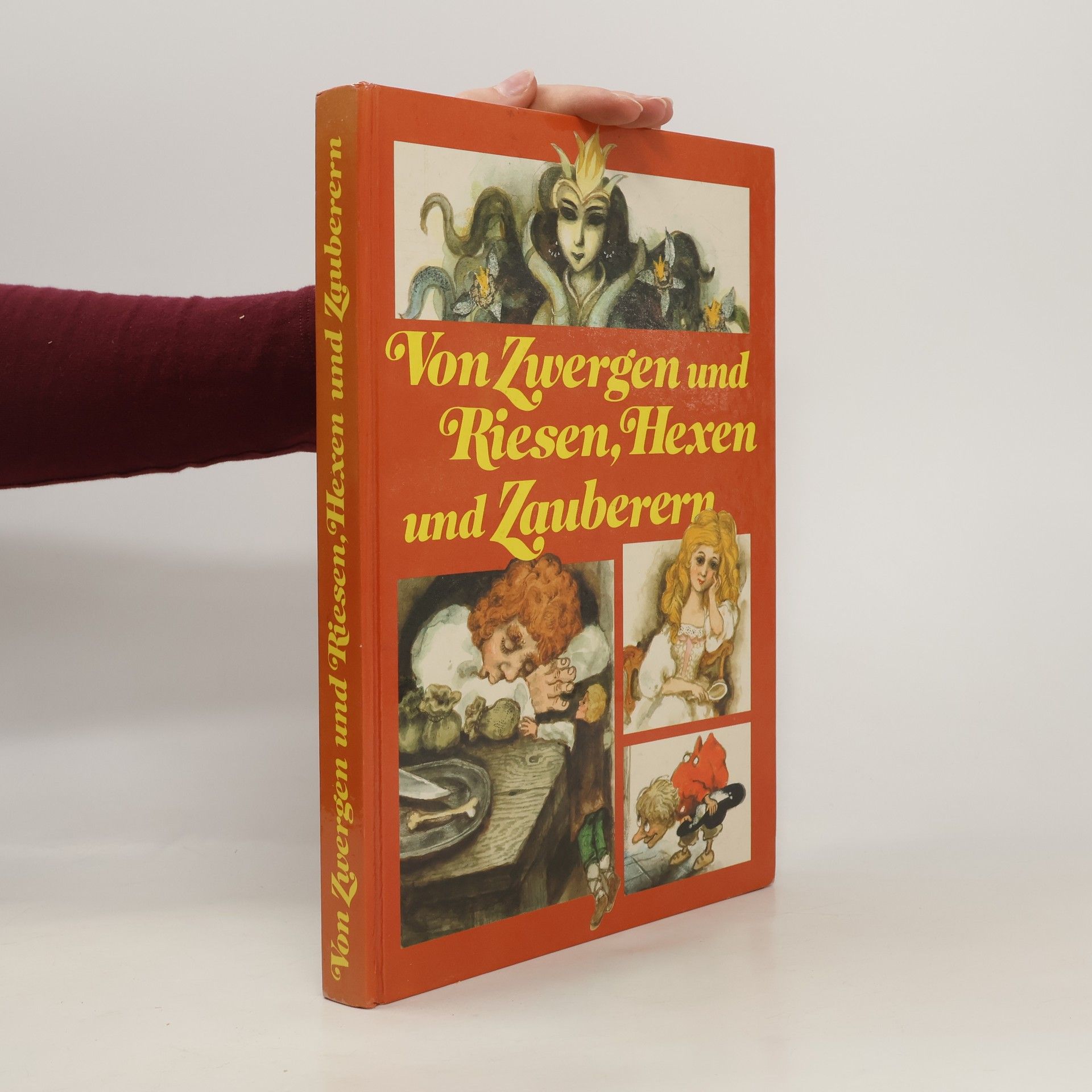 Collectif d'auteurs Von Zwergen und Riesen, Hexen und Zauberern