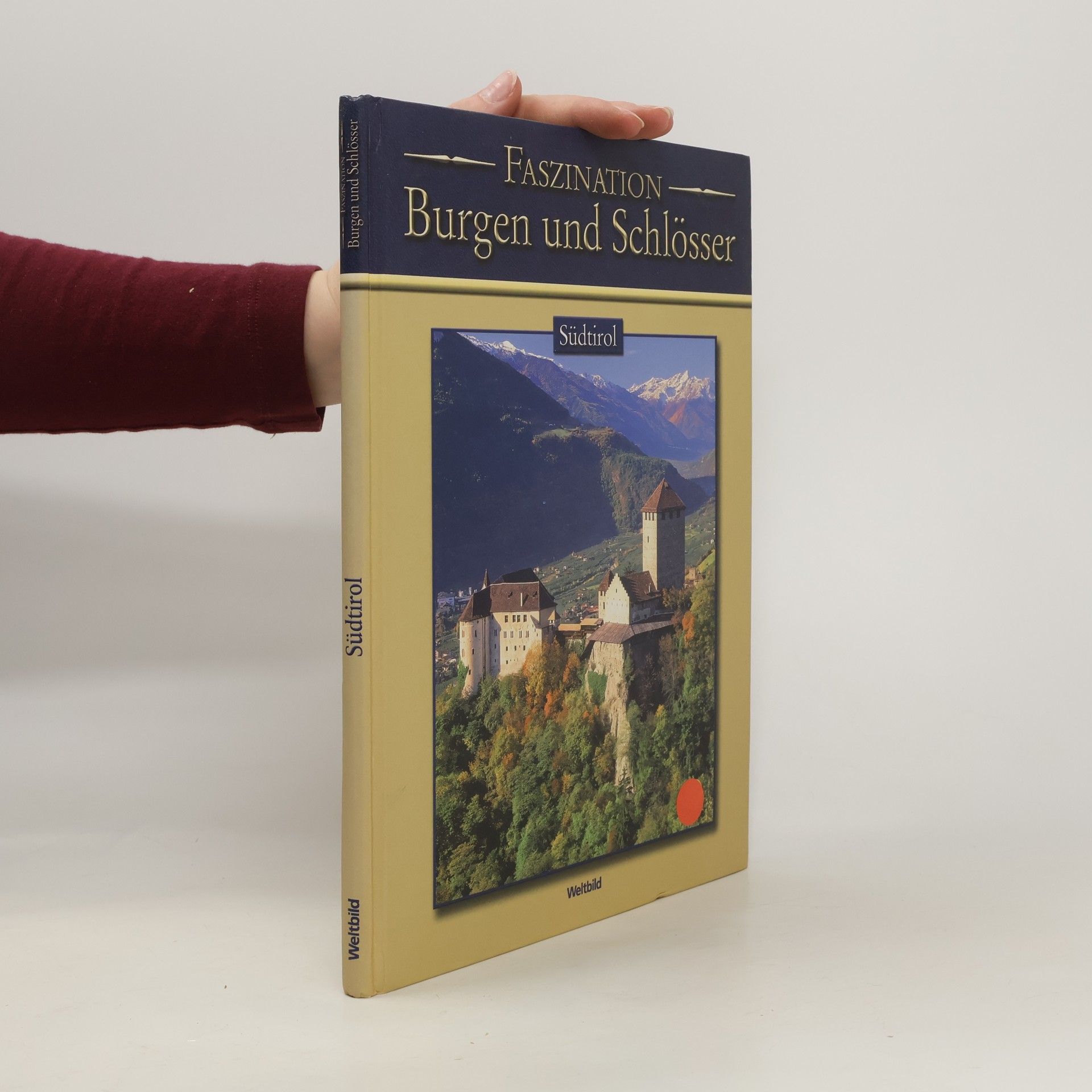 Kolektiv autorů Faszination Burgen und Schlosser. Südtirol