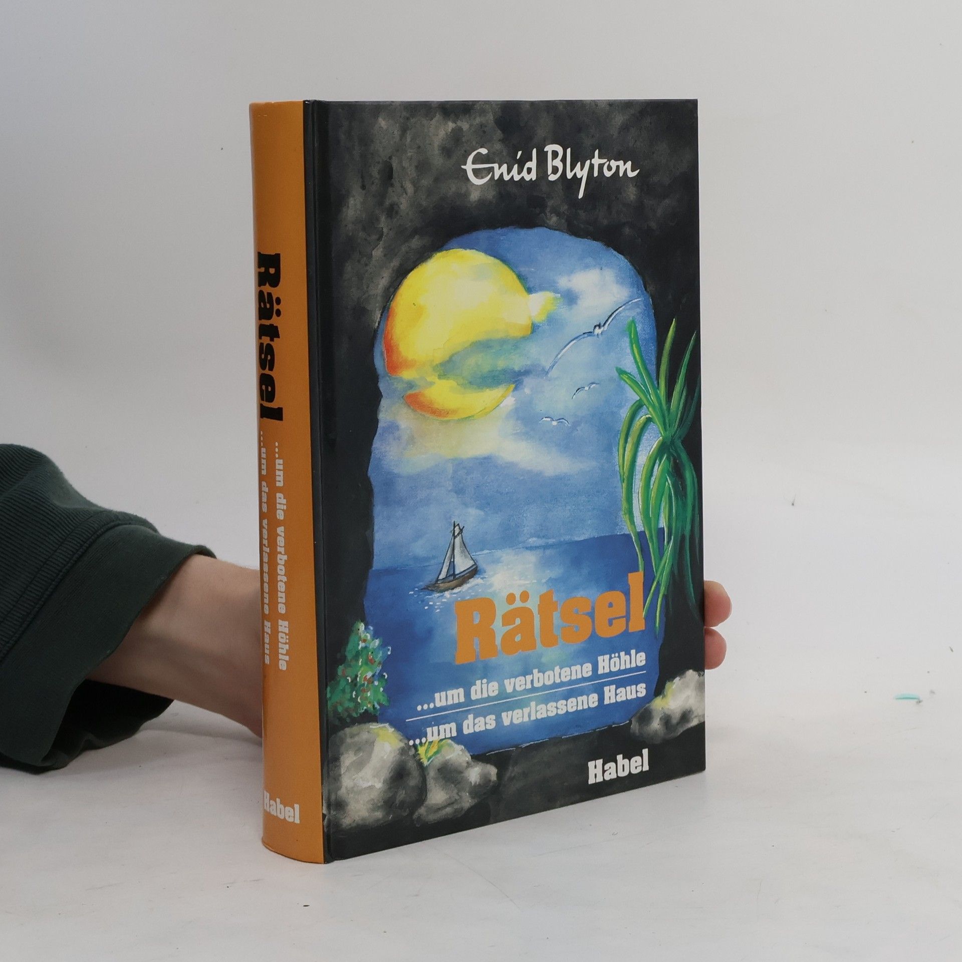 Enid Blyton Rätsel um die verbotene Höhle. Ein Doppelband.