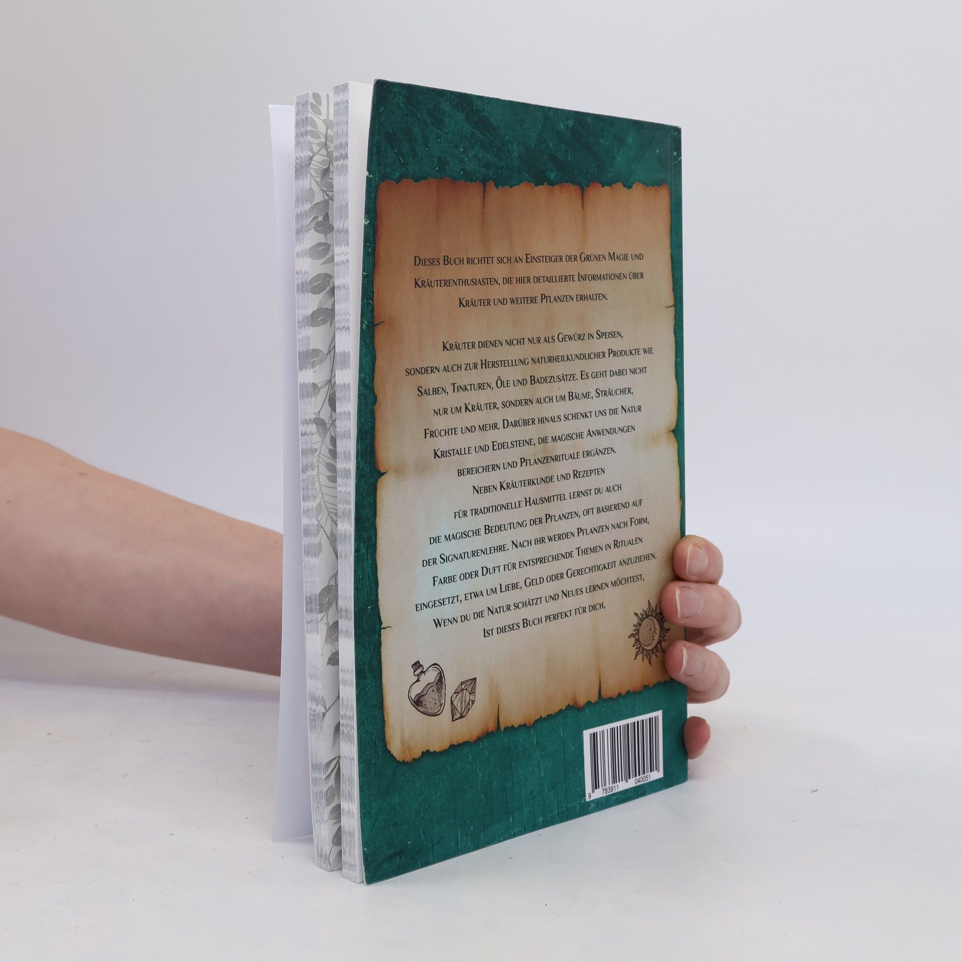 Autorenkollektiv Das Verlorene Zauberbuch der Kräuterhexen