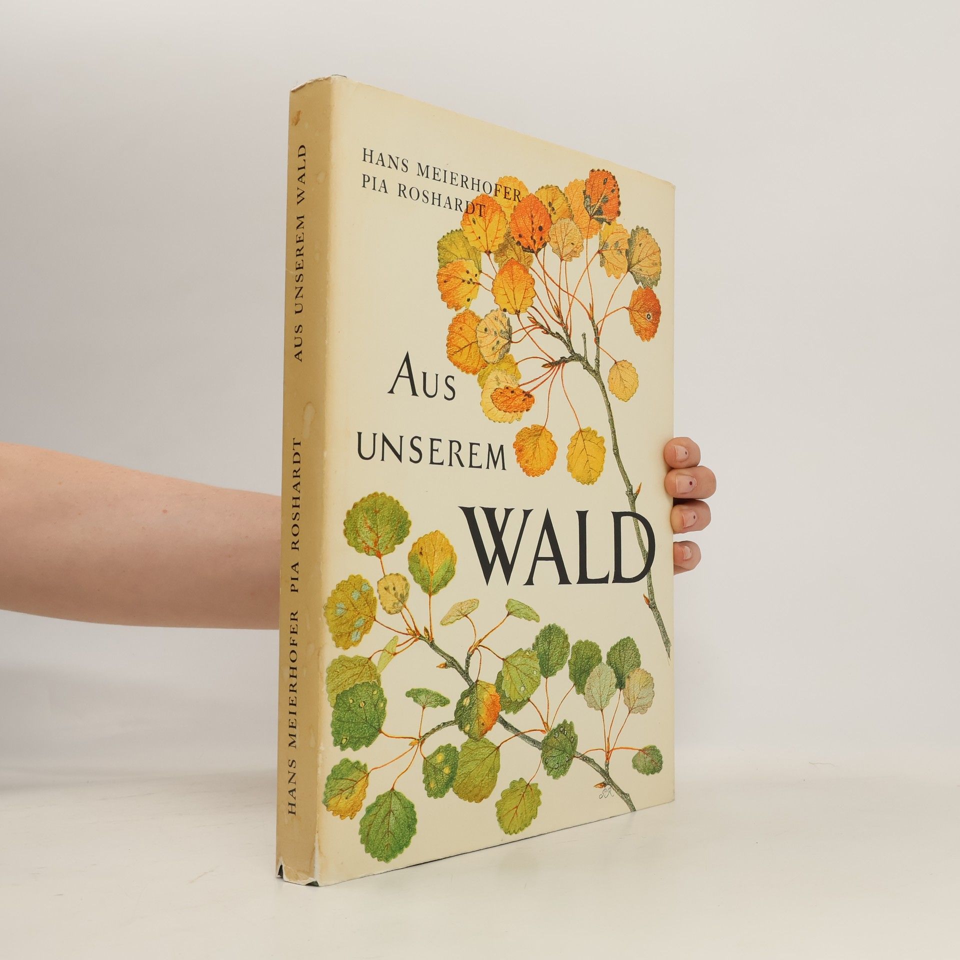 Hans Meierhofer Aus Unserem Wald