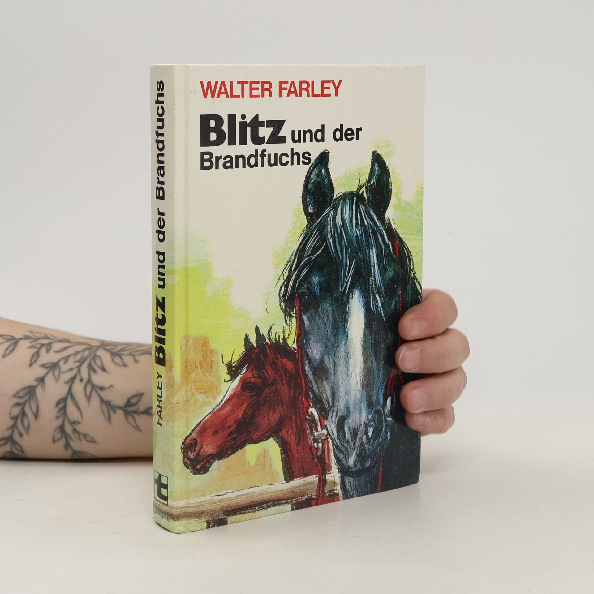 Walter Farley Blitz und der Brandfuchs