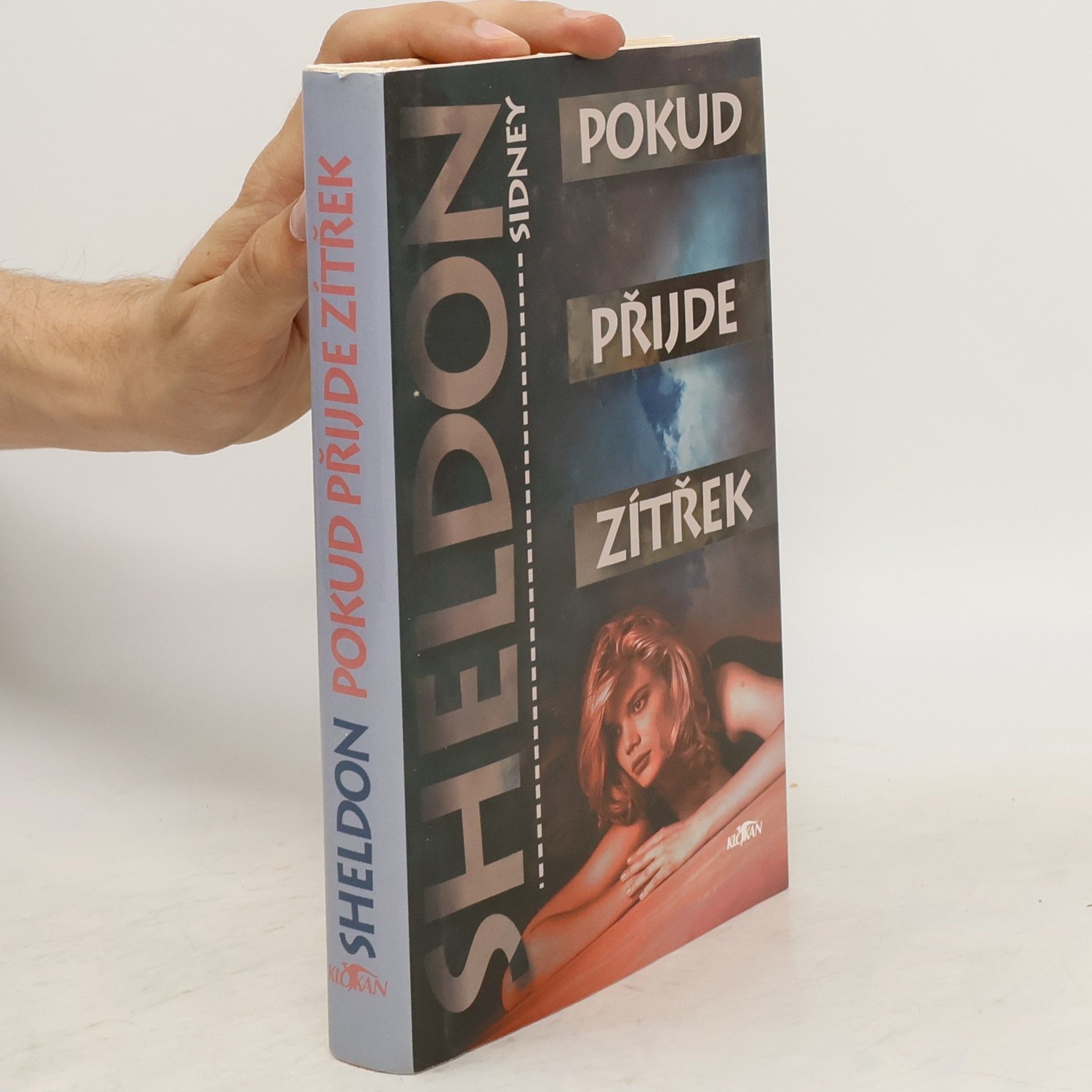 Sidney Sheldon Pokud přijde zítřek