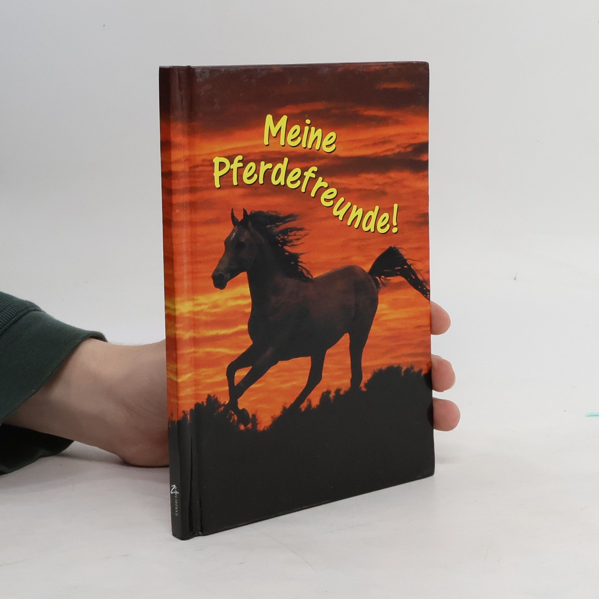 Autorenkollektiv Meine Pferdefreunde!