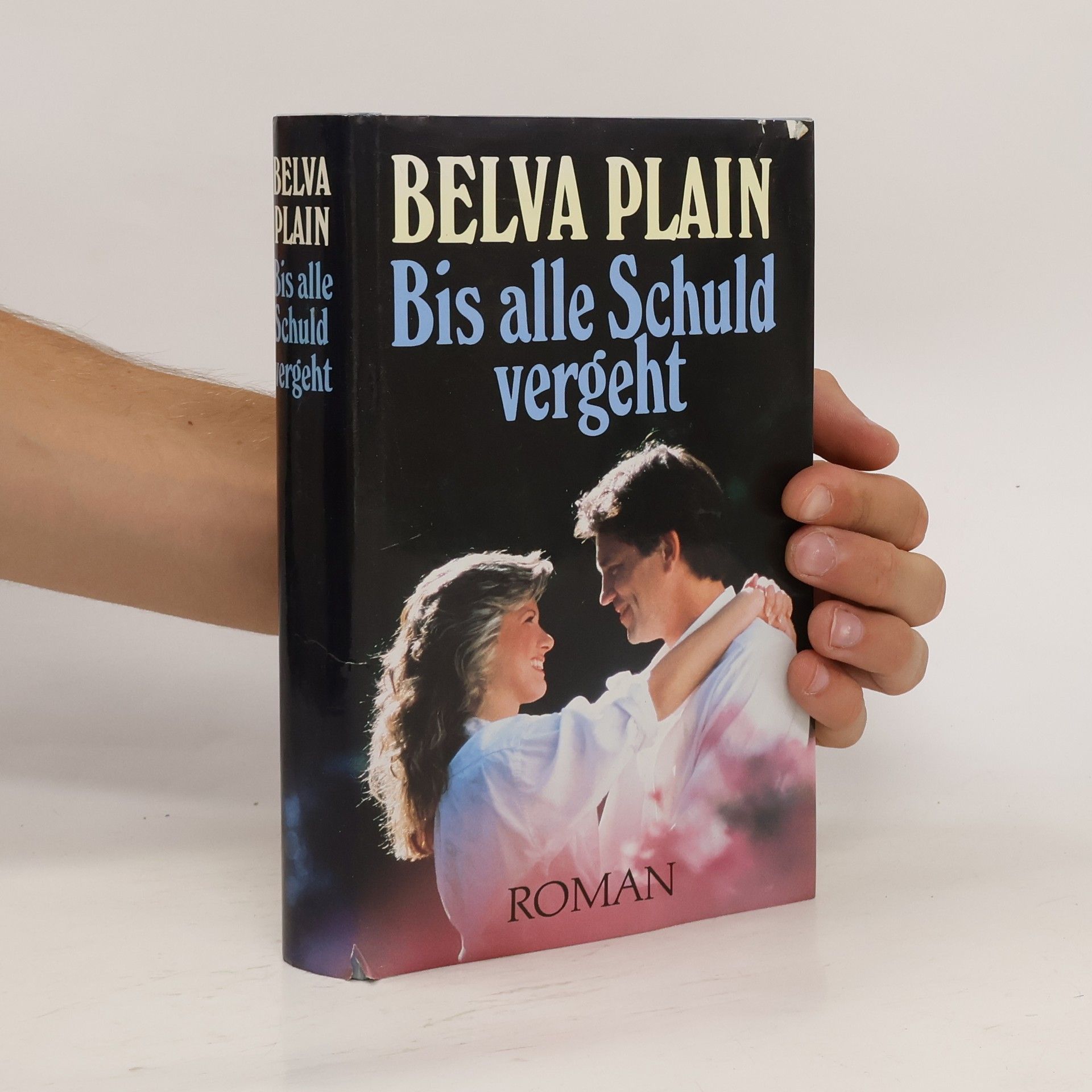 Belva Plain Bis alle Schuld vergeht