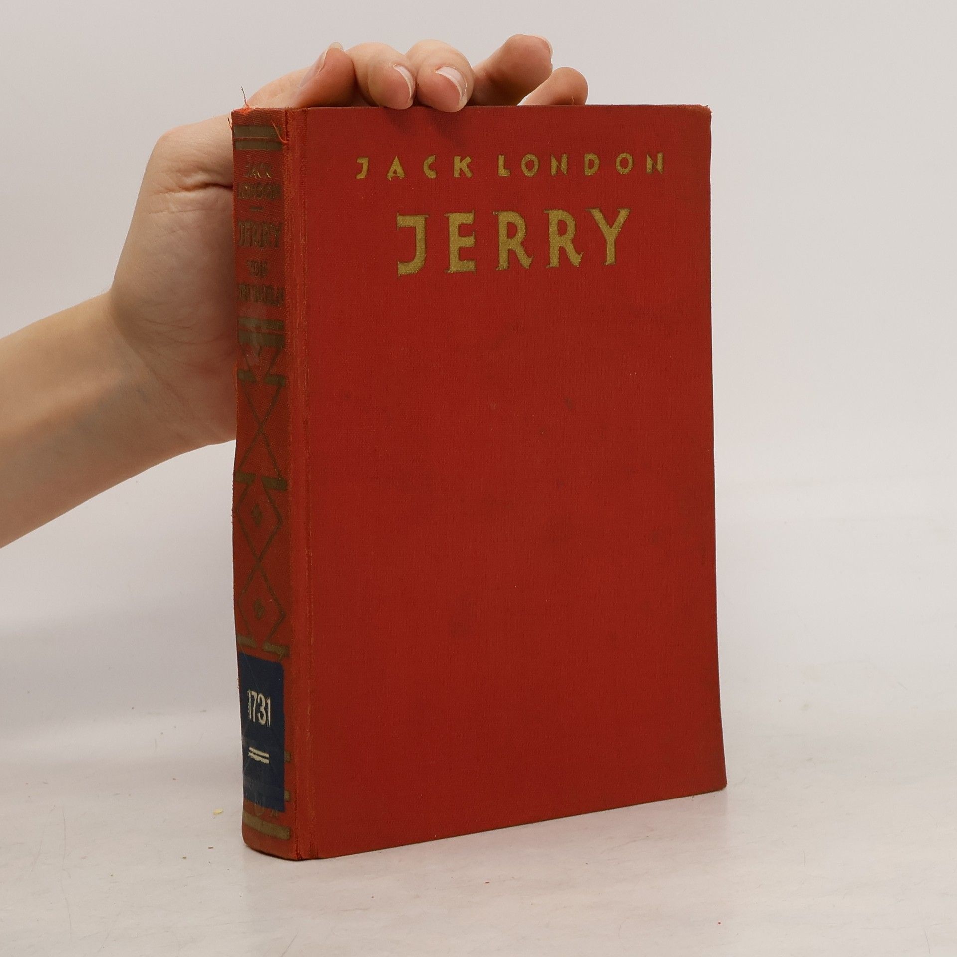 Jack London Jerry der Insulaner