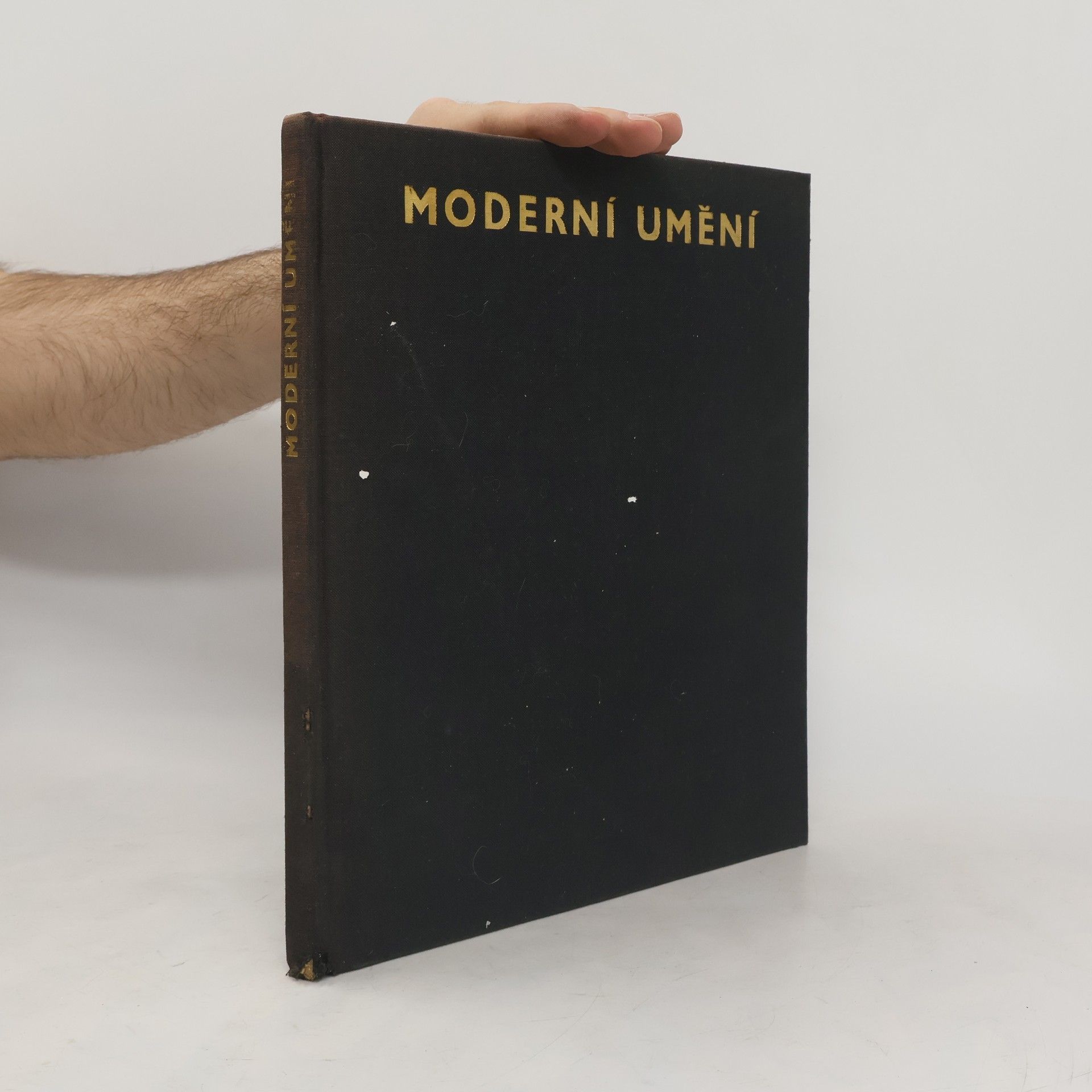 Trewin Copplestone Moderní umění
