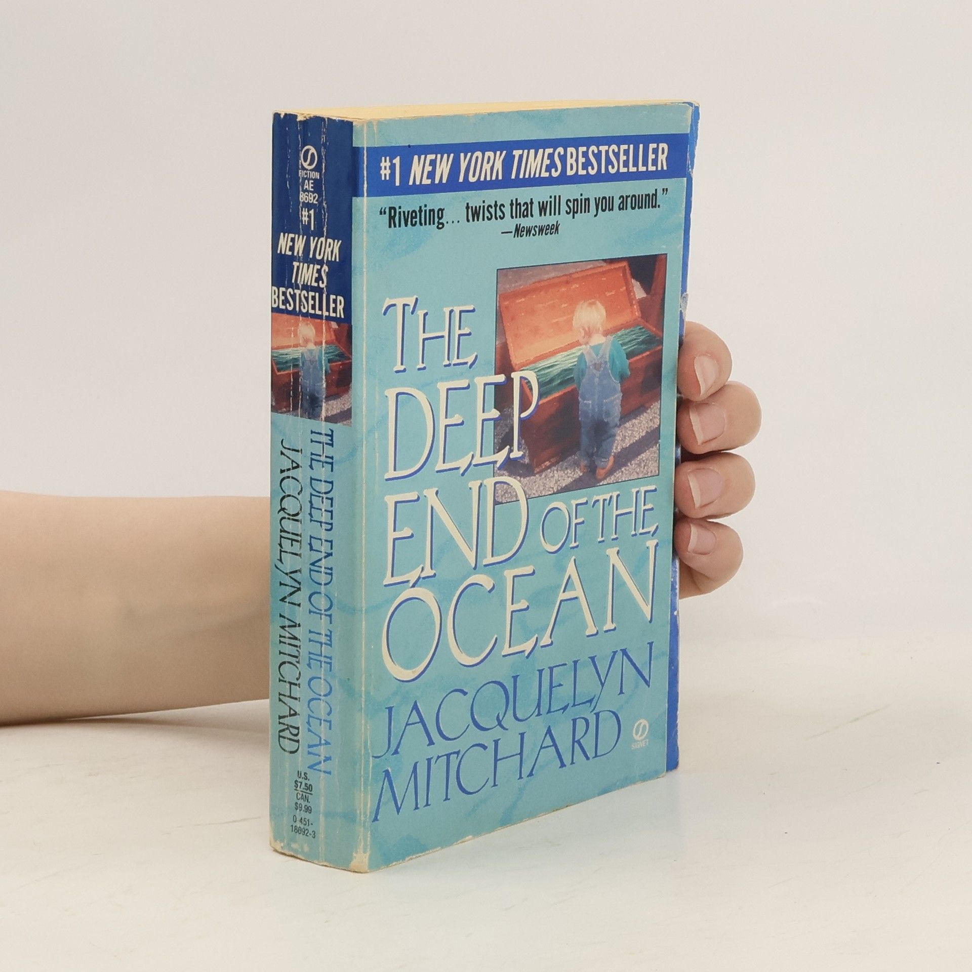 Jacquelyn Mitchard The Deep End of the Ocean