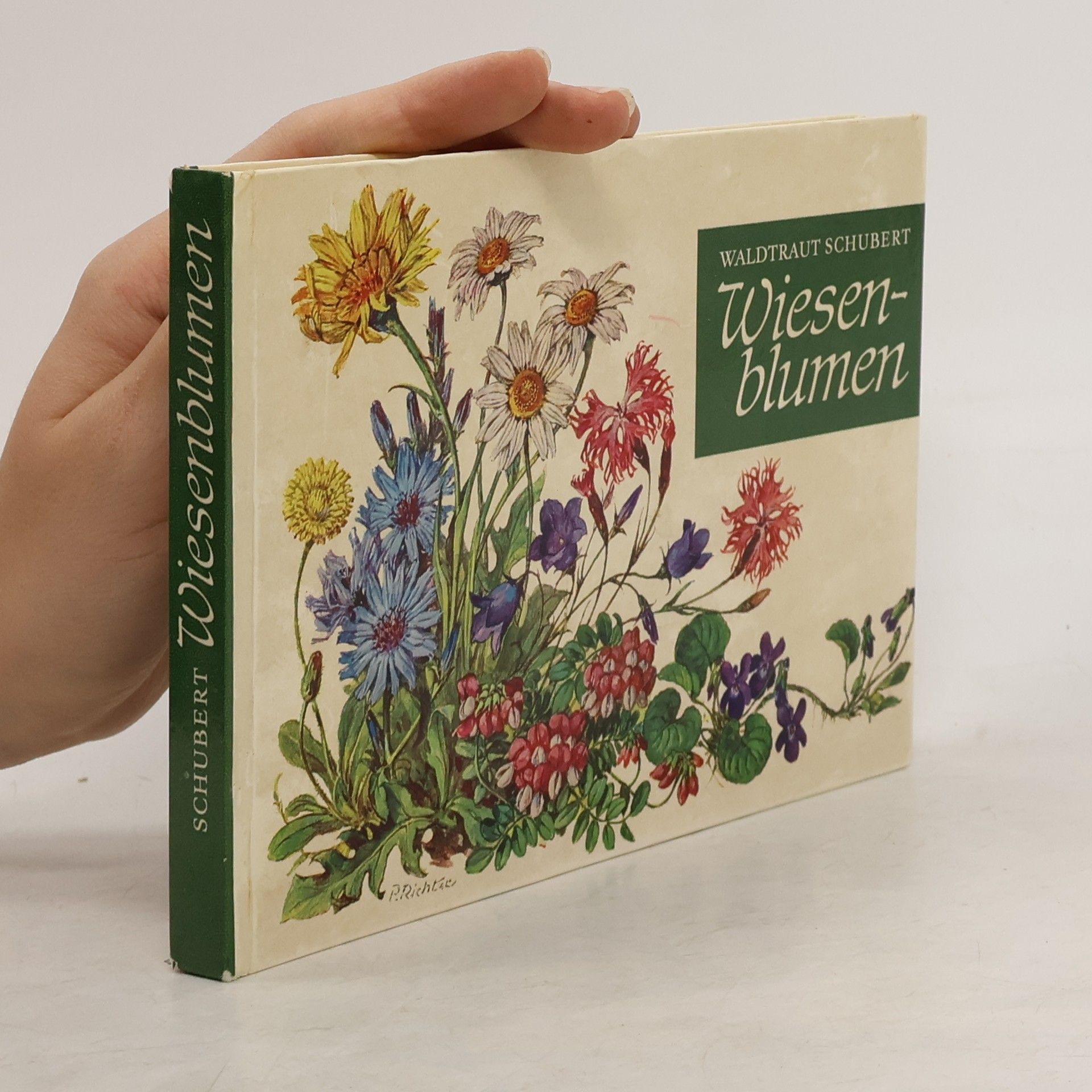 Waldtraut Schubert Wiesen-blumen