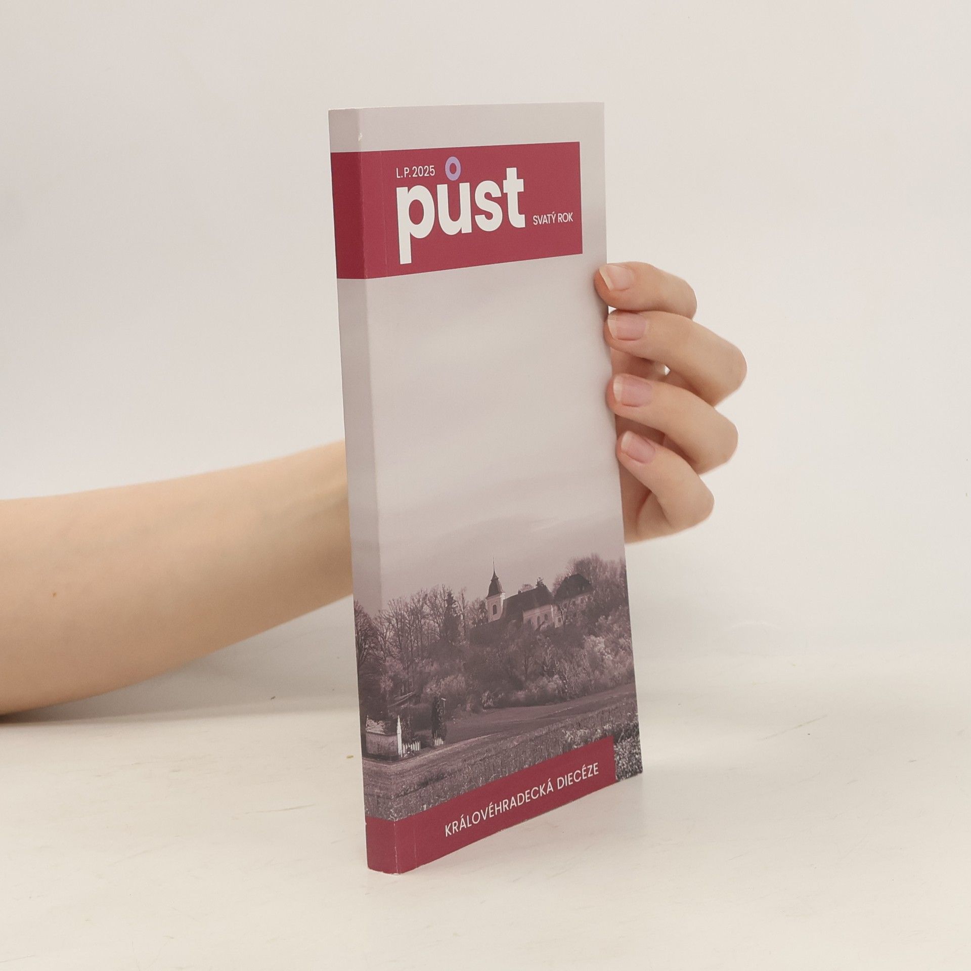 Collectif d'auteurs Půst: svatý rok