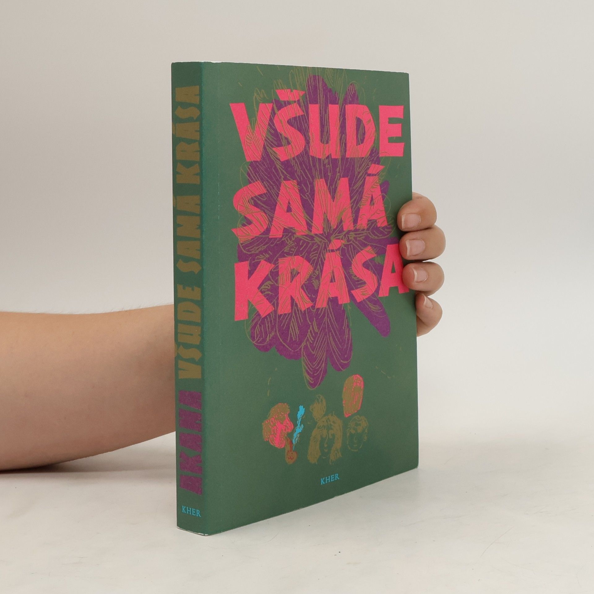 Collective Všude samá krása - 20. století v povídkách romských autorů