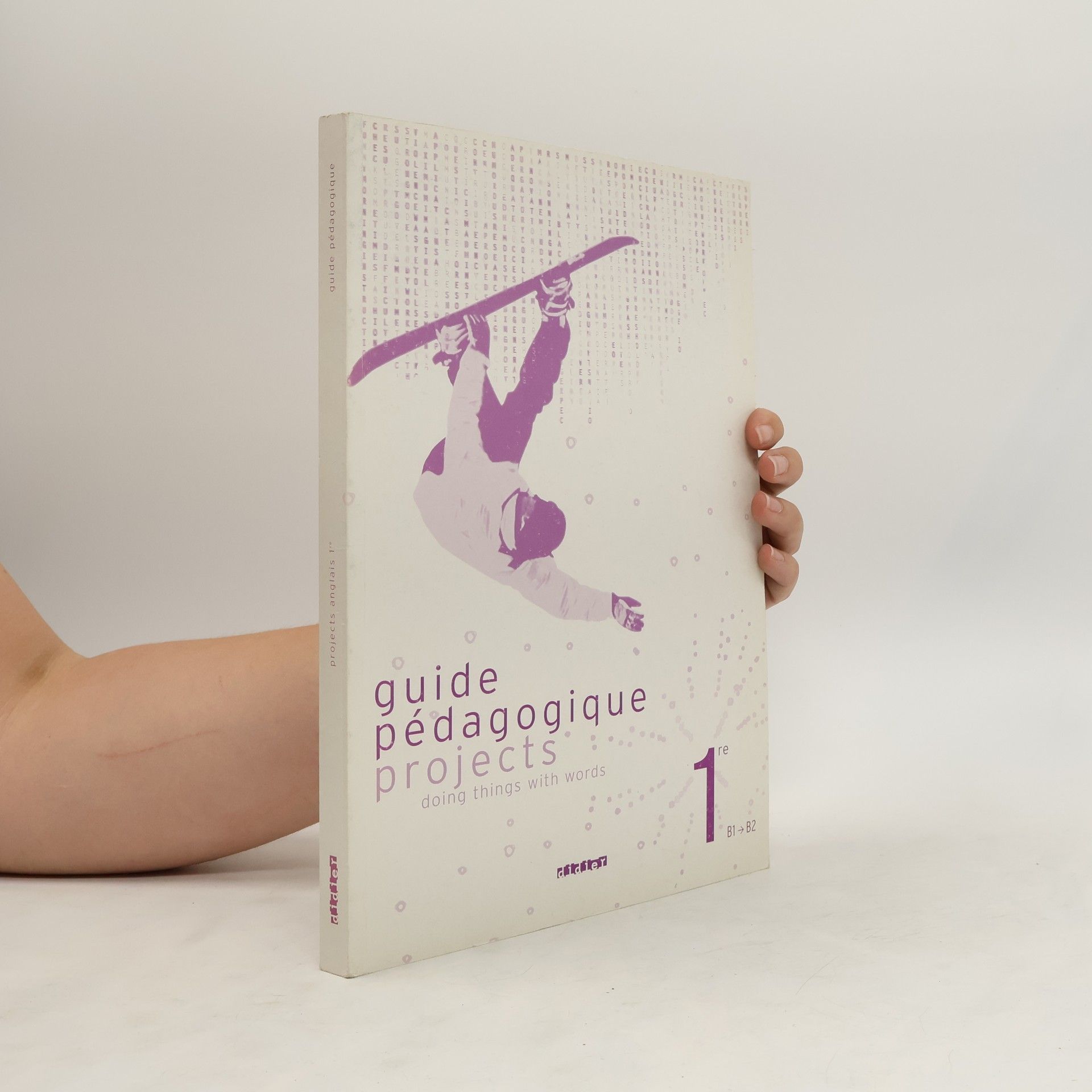 Sylvain Basty Guide Pédagogique Projects 1re