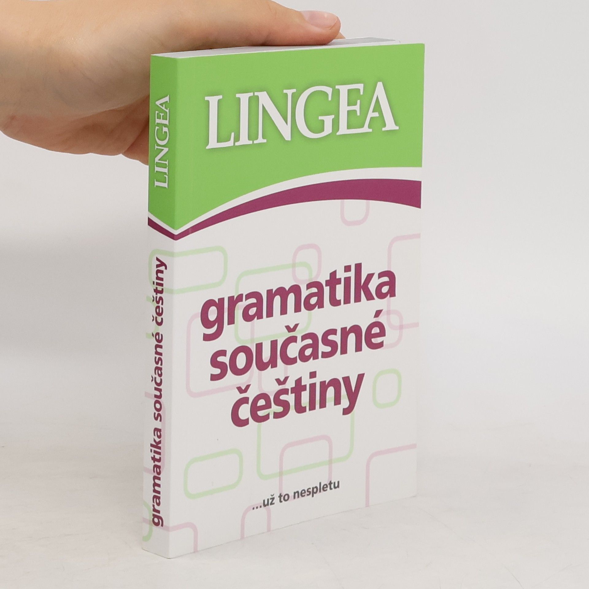 kolektiv Gramatika současné češtiny