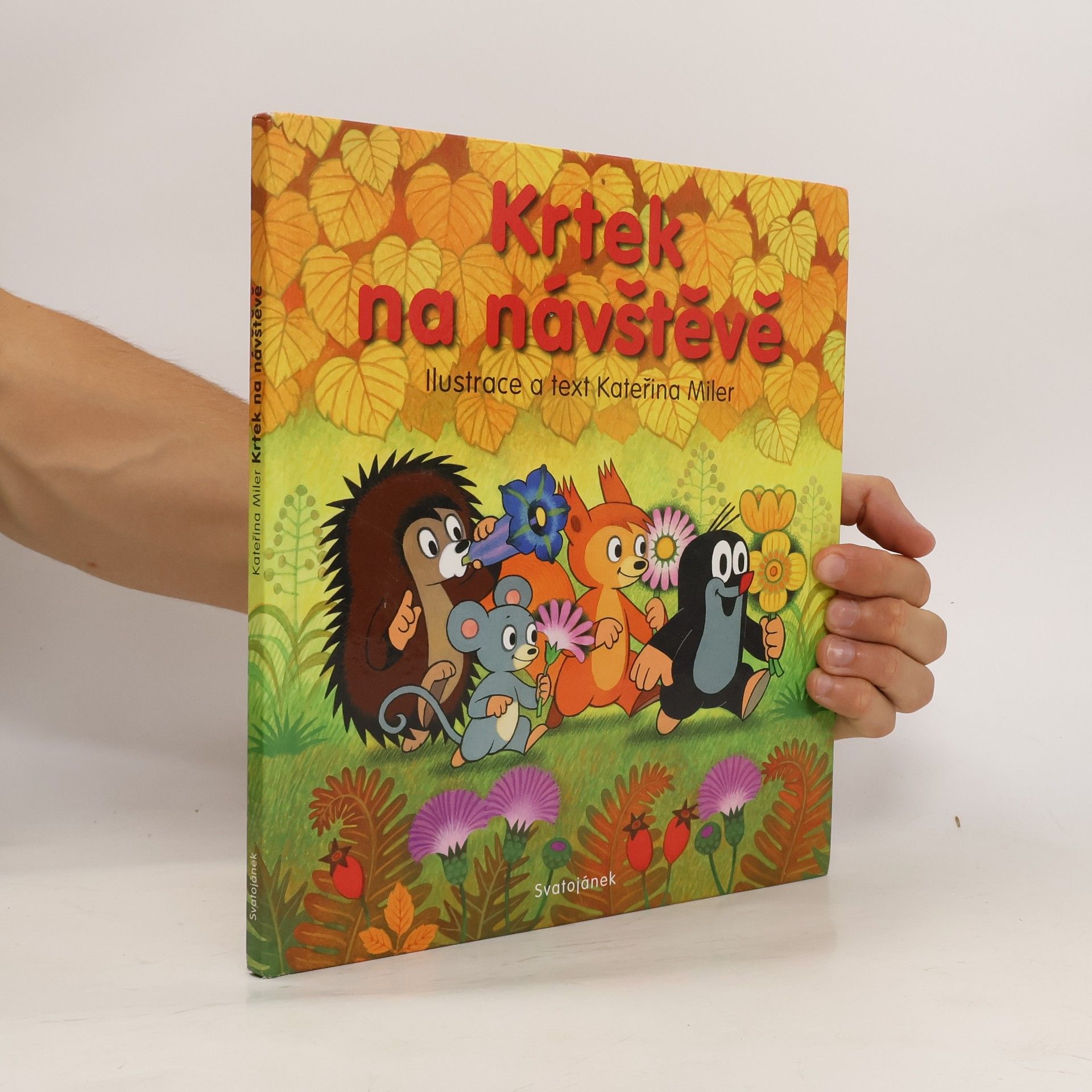 Kateřina Lovis Miler Krtek na návštěvě