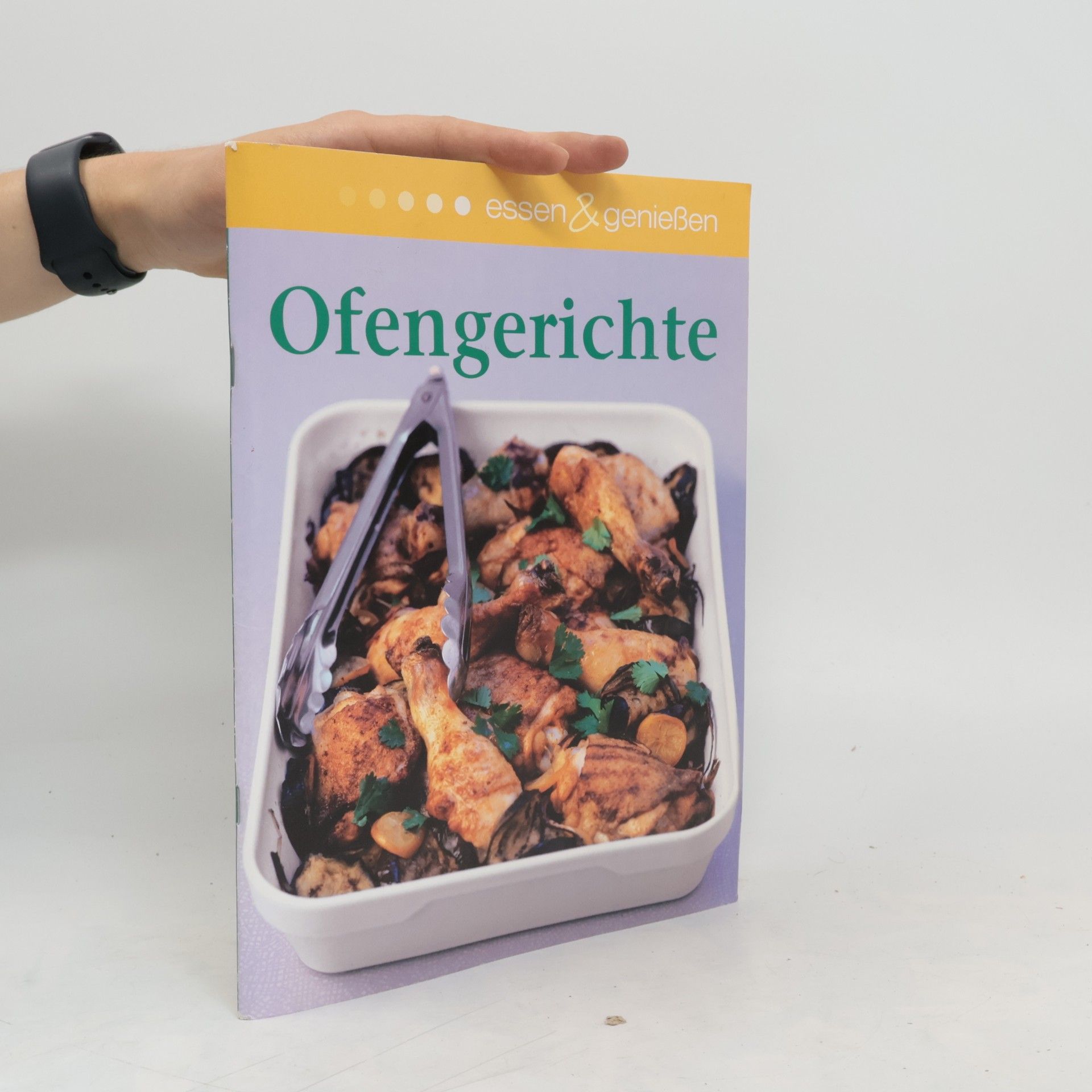 Autorenkollektiv Ofengerichte
