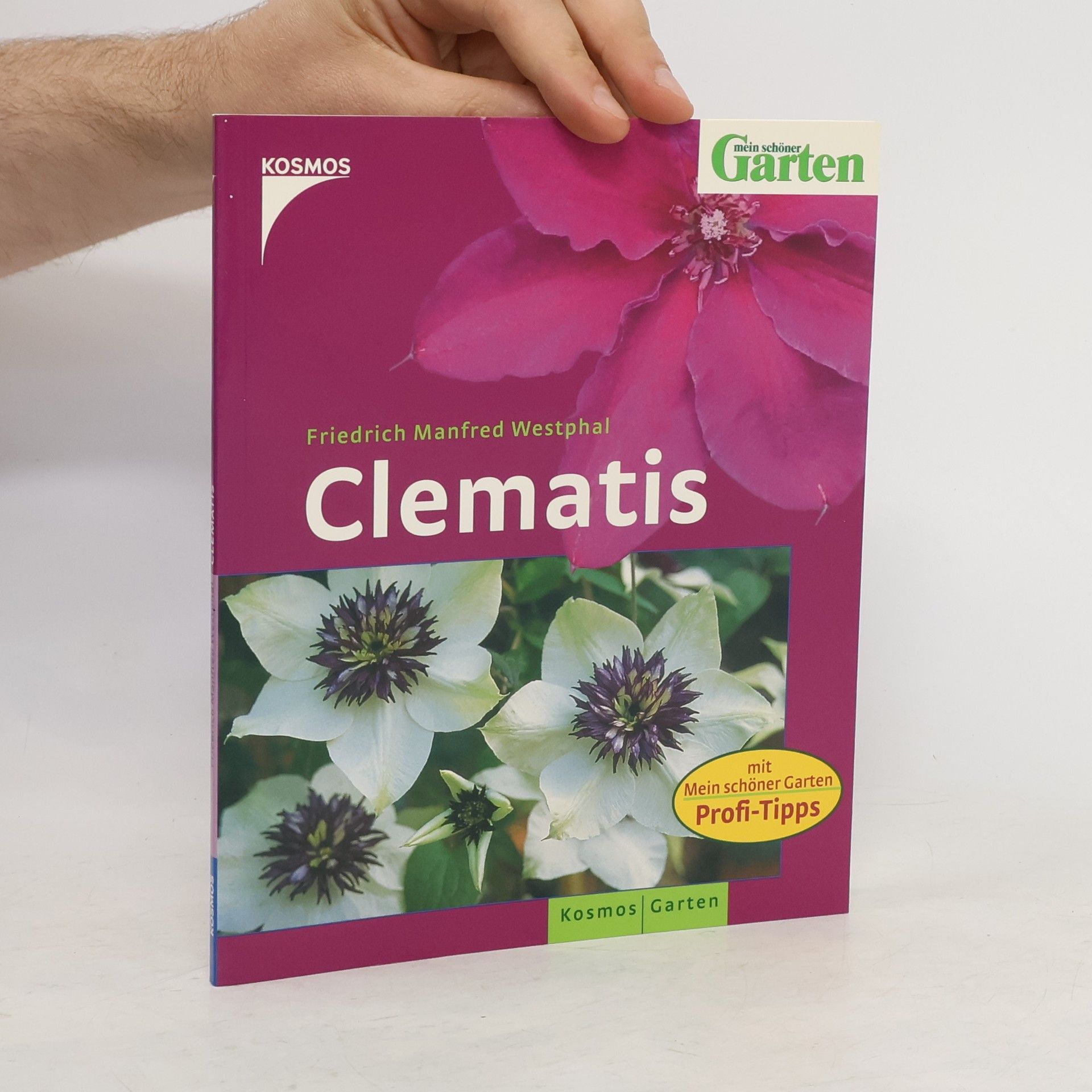 Friedrich Manfred Westphal Clematis