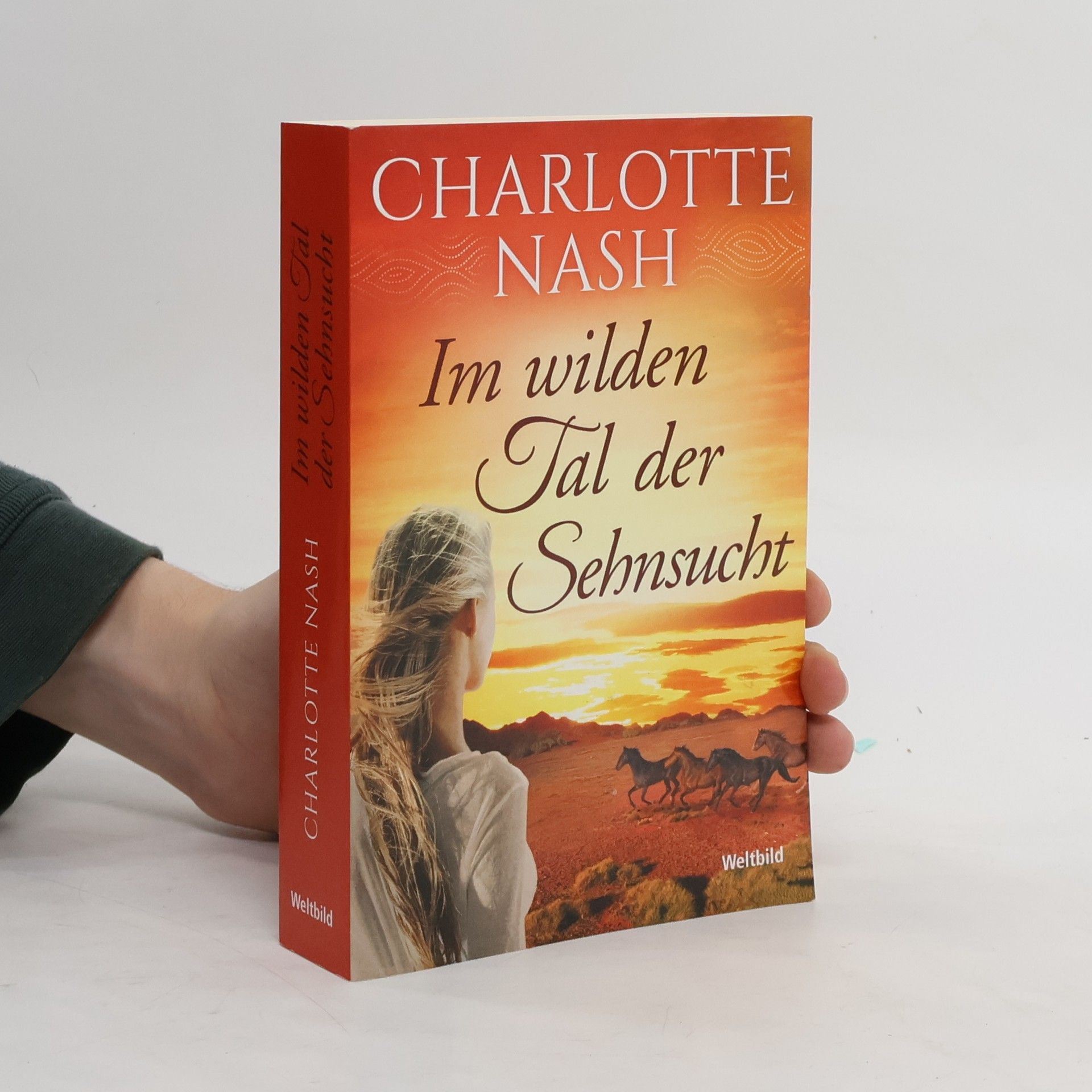Charlotte Nash Im wilden Tal der Sehnsucht