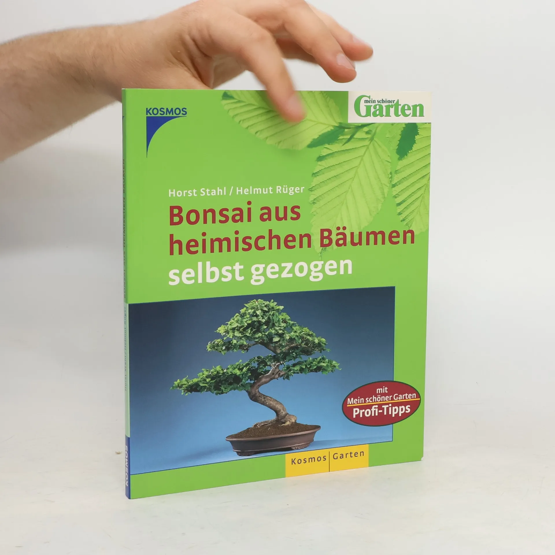 Bonsai aus heimischen Bäumen selbst gezogen | Book | Paperback | Horst Stahl | DE