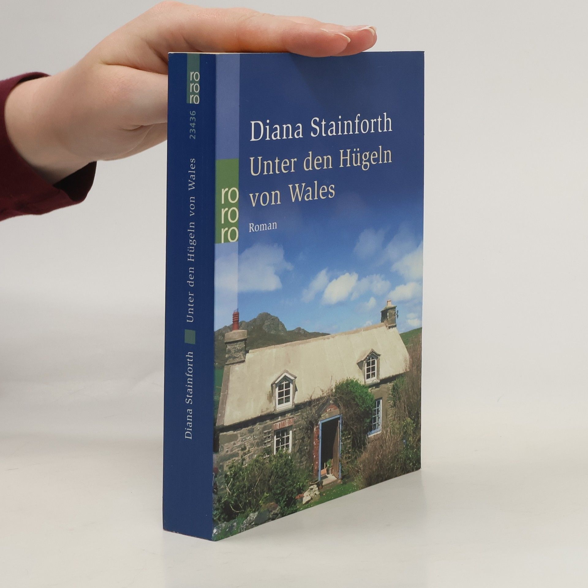 Diana Stainforth Unter den Hügeln von Wales