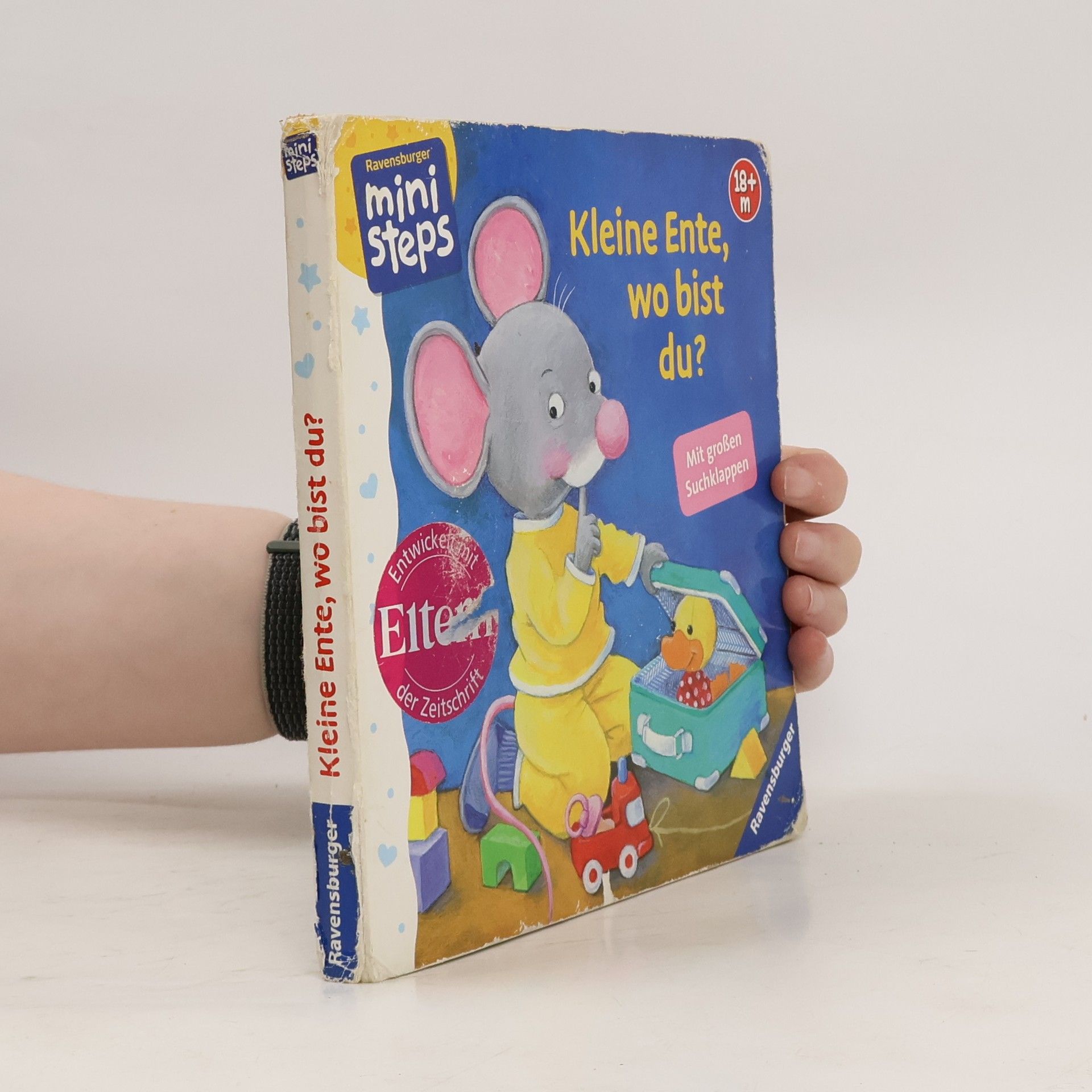 Doris Rübel Kleine Ente, wo bist du?