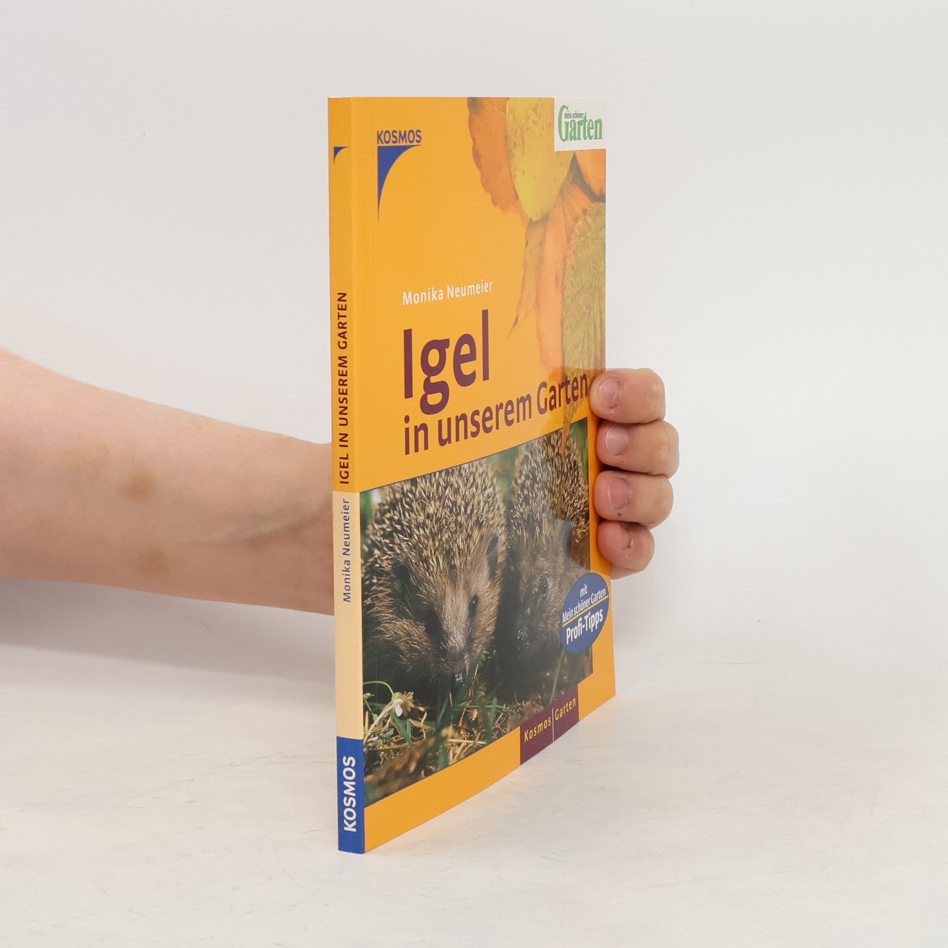 Monika Neumeier Igel in unserem Garten