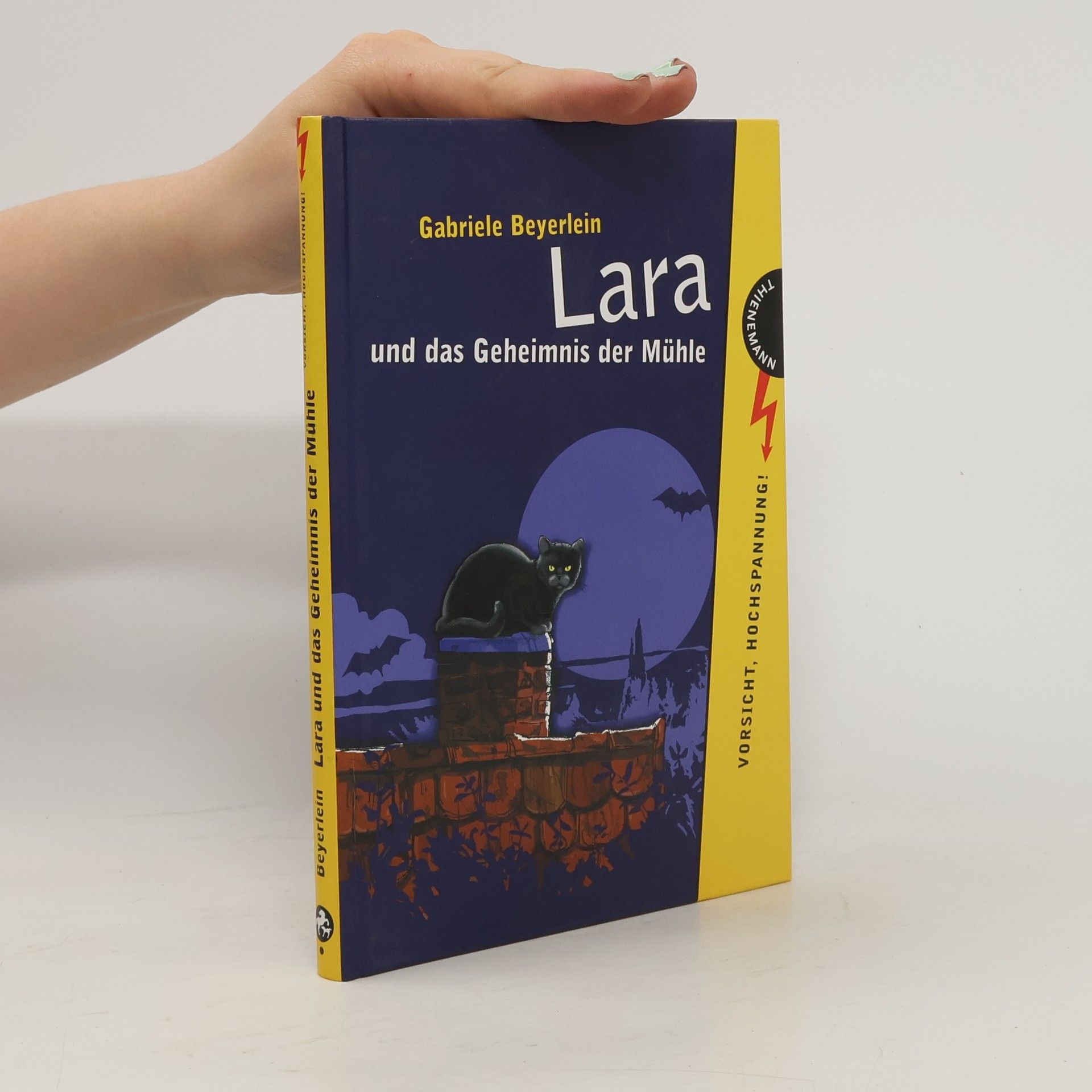 Gabriele Beyerlein Lara und das Geheimnis der Mühle