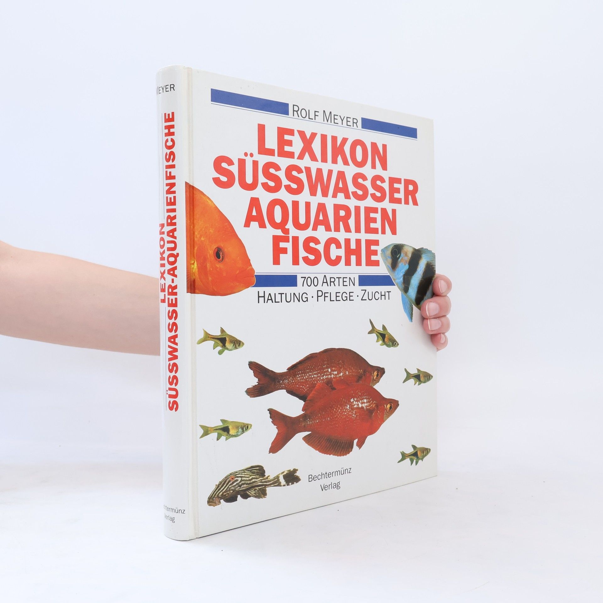 kolektiv Lexikon Süsswasser Aquarienfische