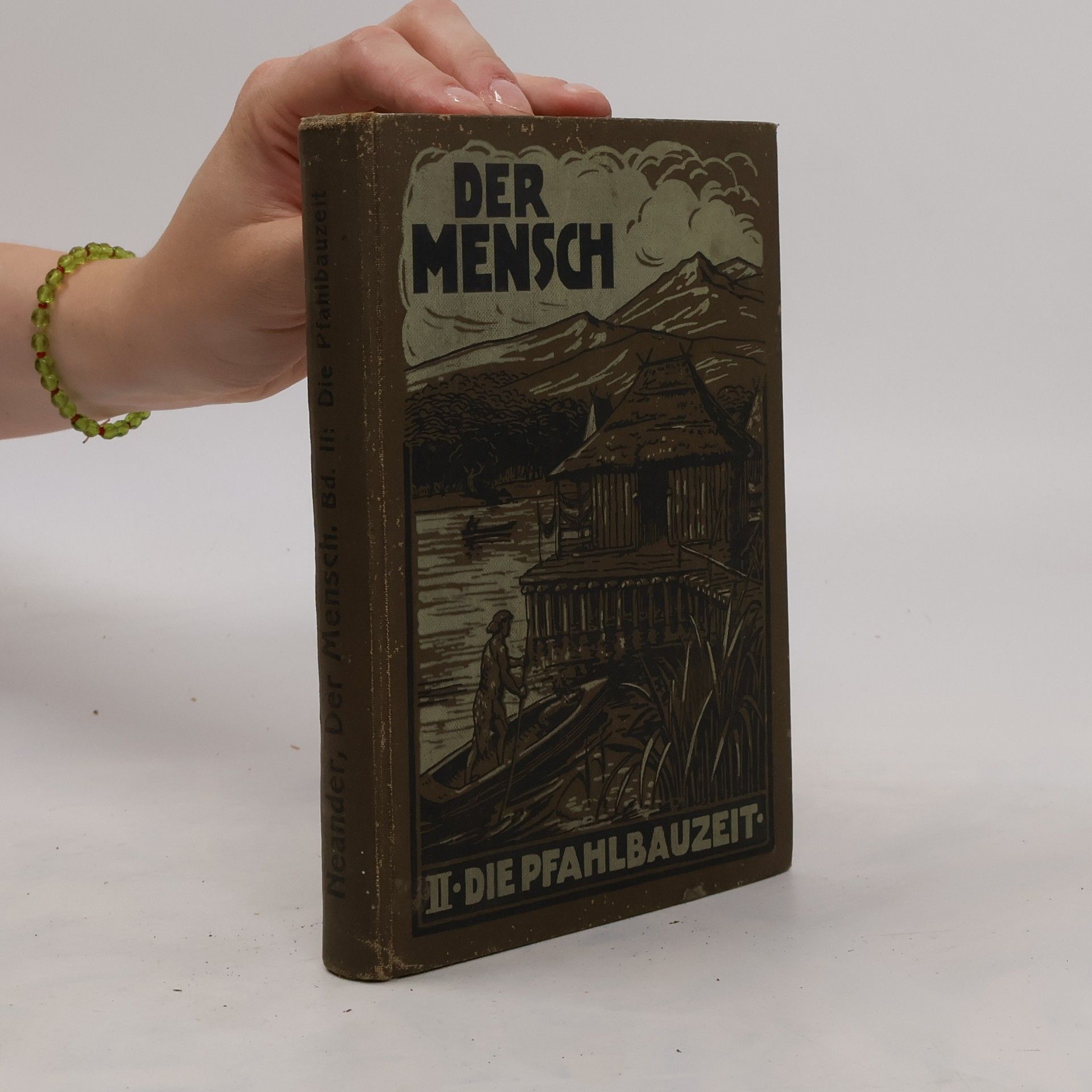 W. G. Neander Der Mensch II.: Die Pfahlbauzeit