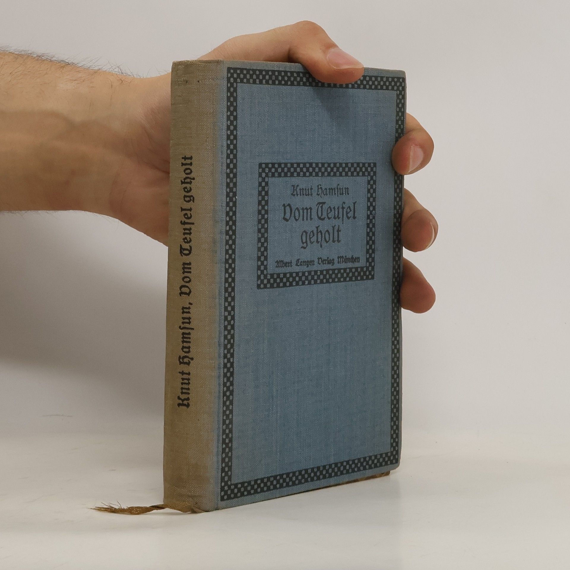 Knut Hamsun Vom Teufel geholt