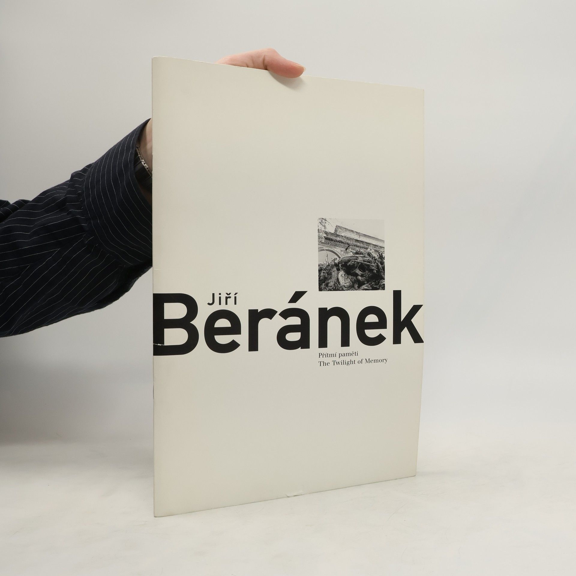 Jiří Beránek Přítmí paměti