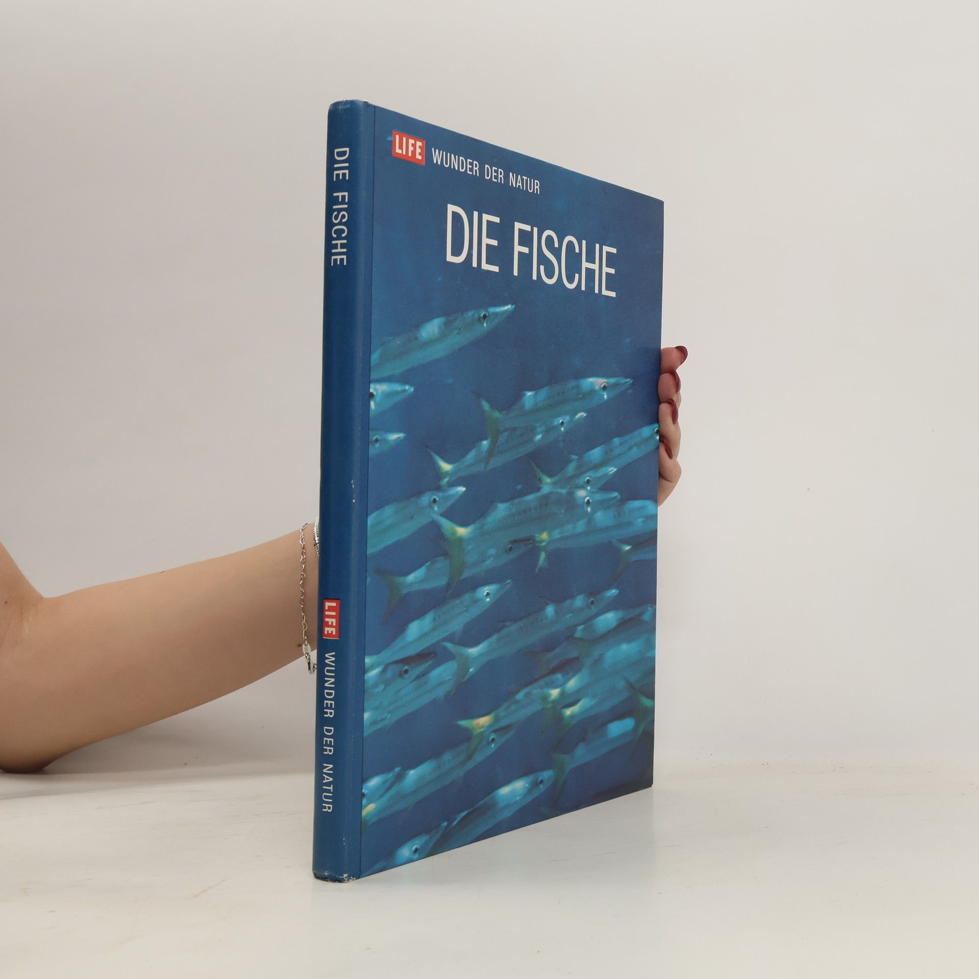 kolektiv Die Fische