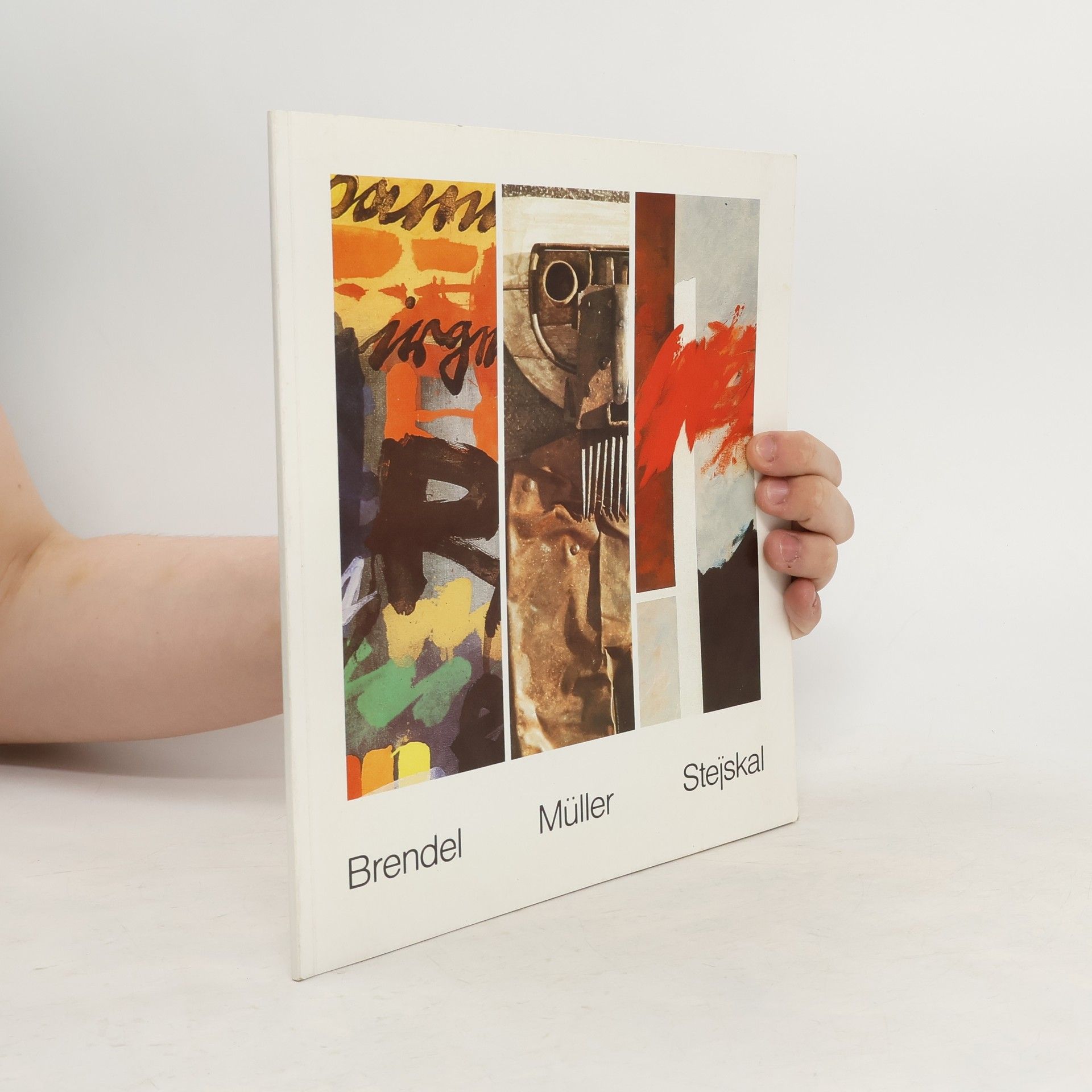 Collectif d'auteurs Brendel Müller Stejskal