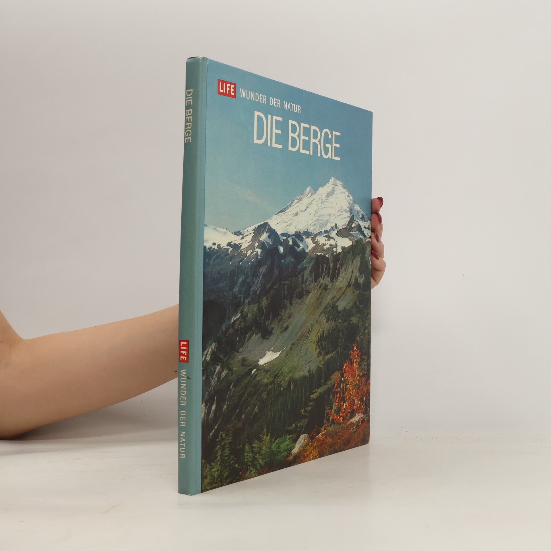 Margery Milne Die Berge