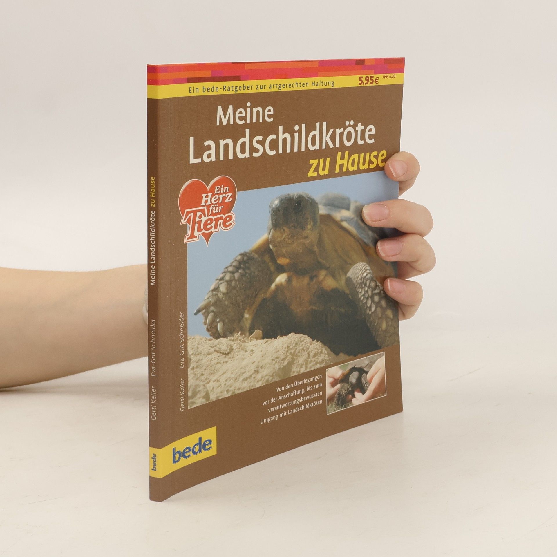 Gerti Keller Meine Landschildkröte zu Hause