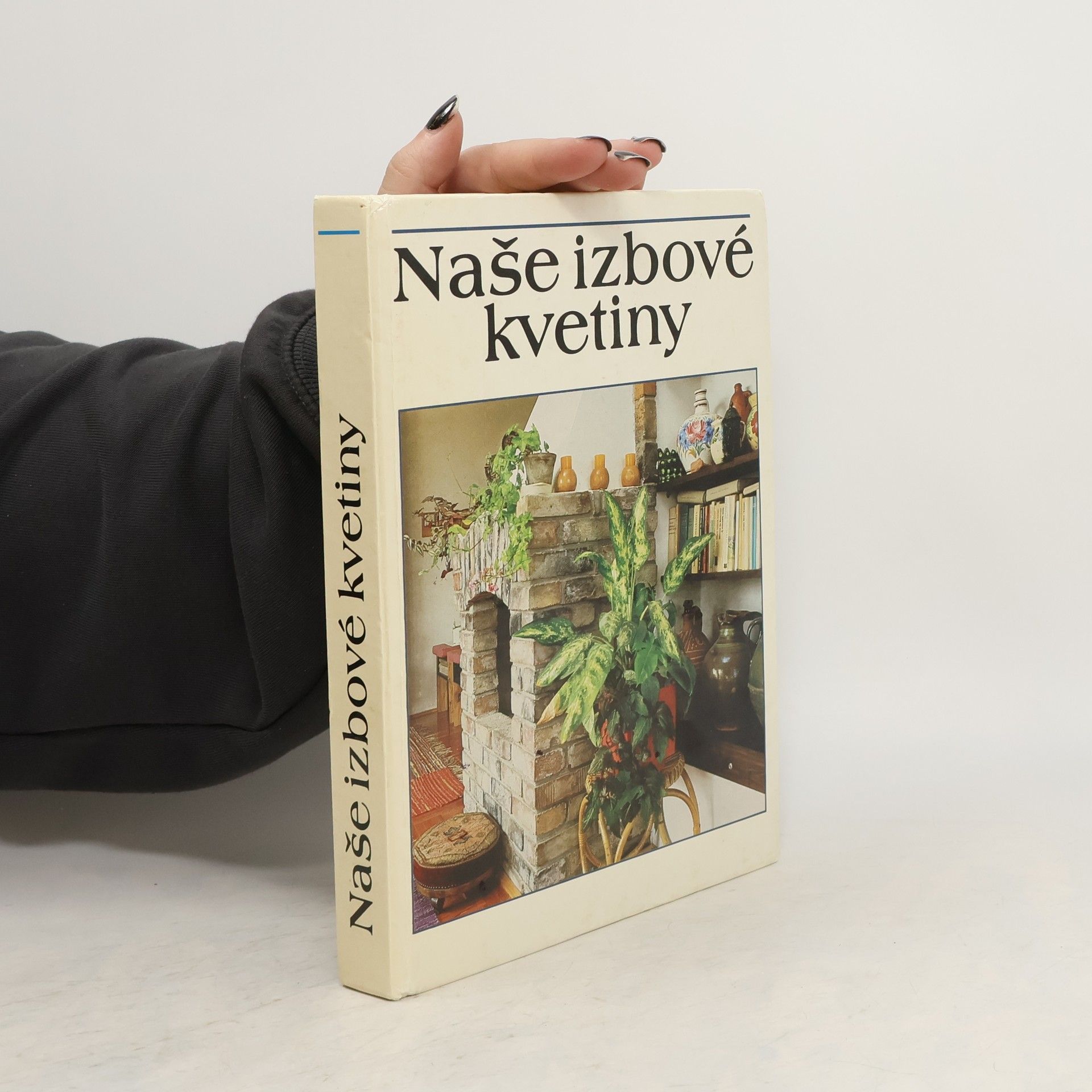 Lajos Lelkes Naše izbové kvetiny
