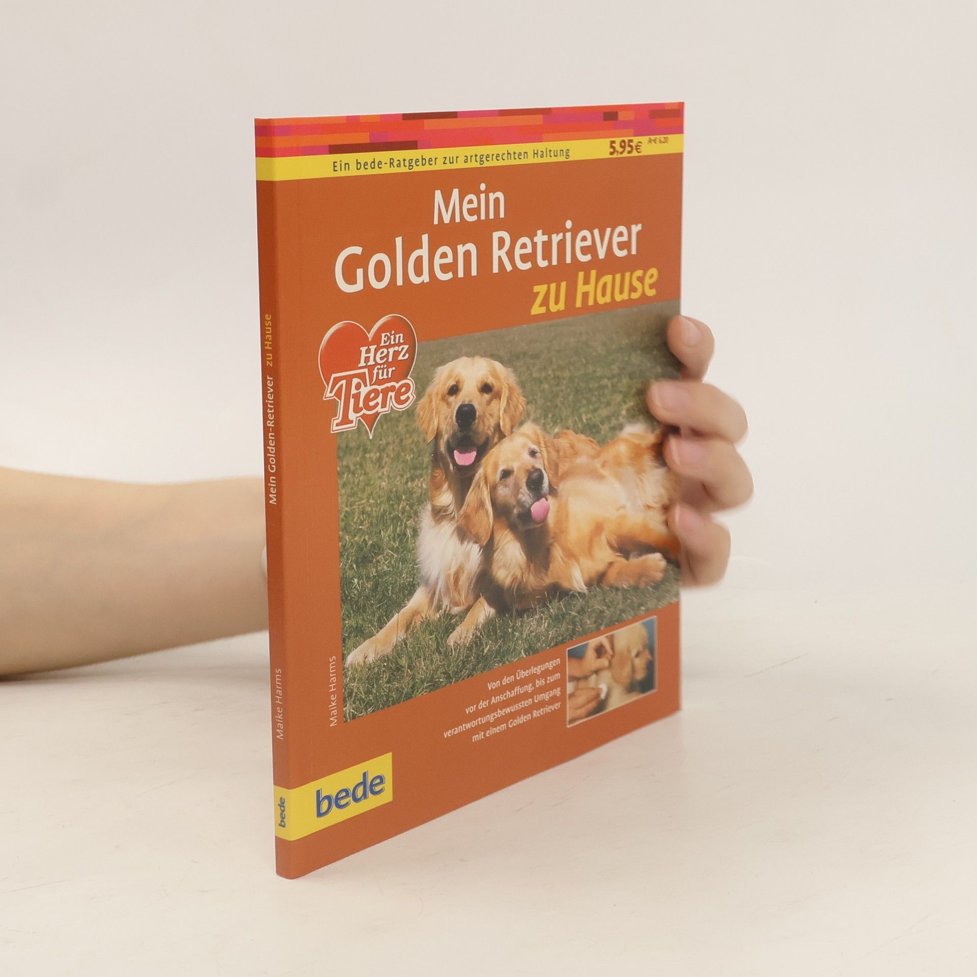 Maike Harms Mein Golden Retriever zu Hause