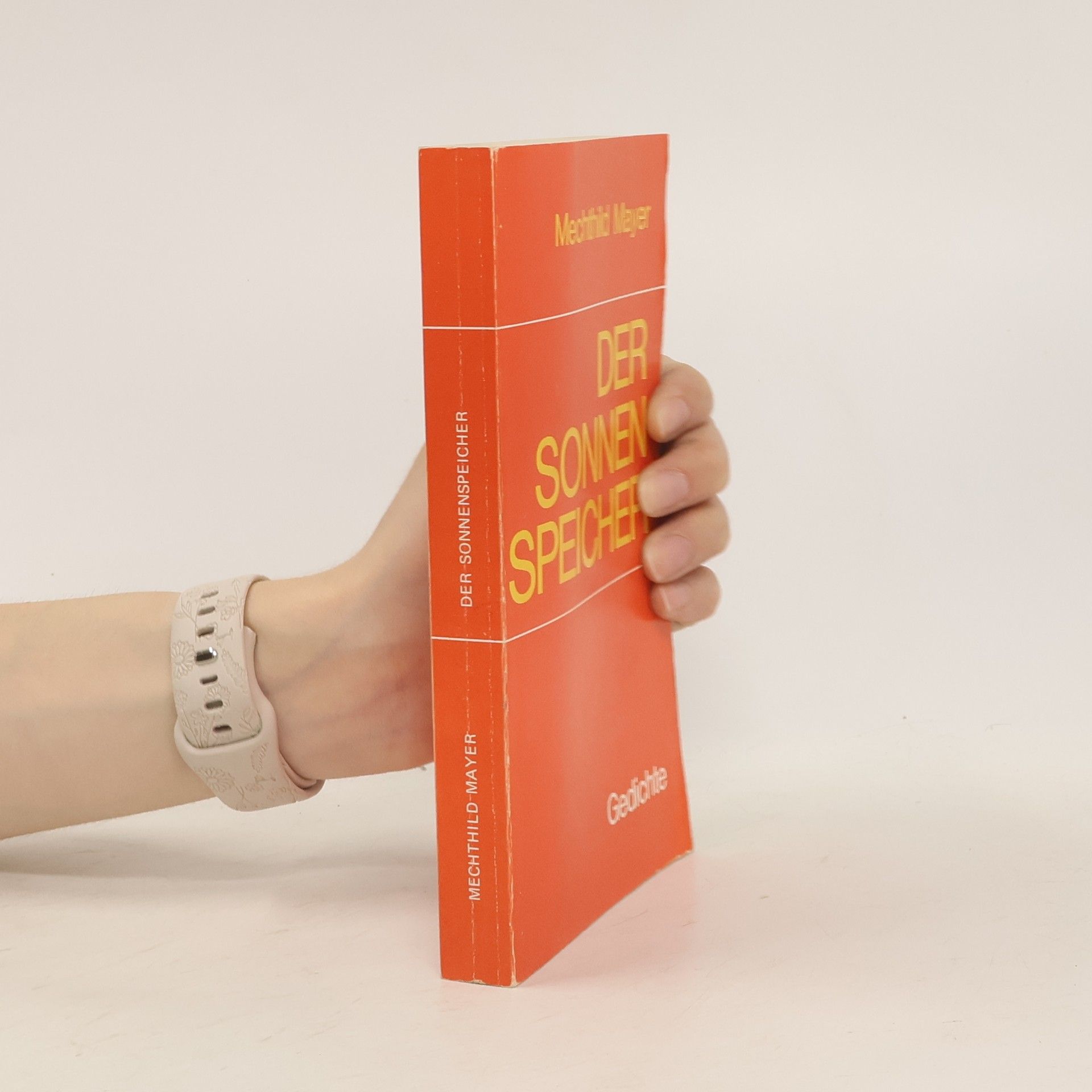 Mechthild Mayer Der Sonnenspeicher