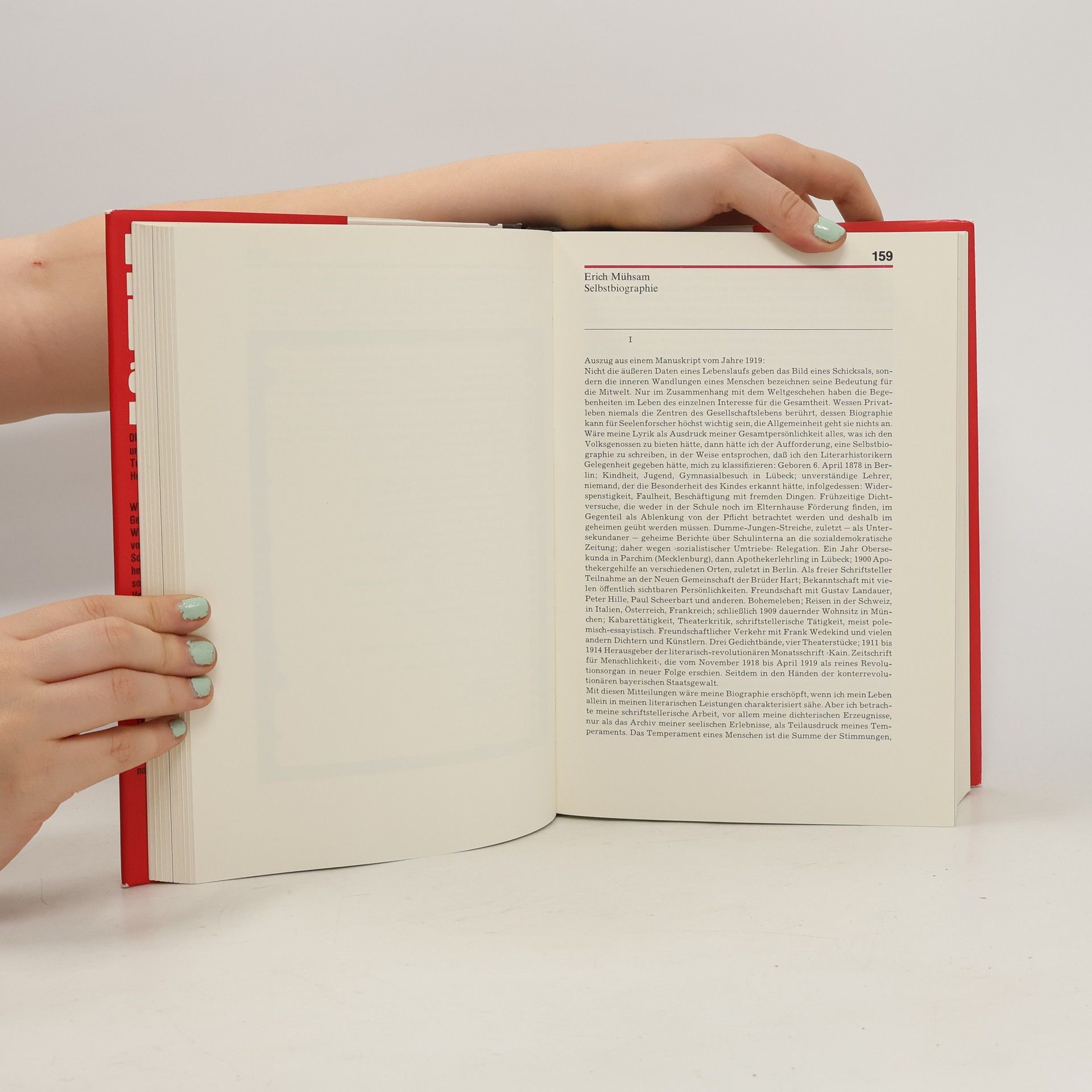 Hansjörg Viesel Literaten an der Wand