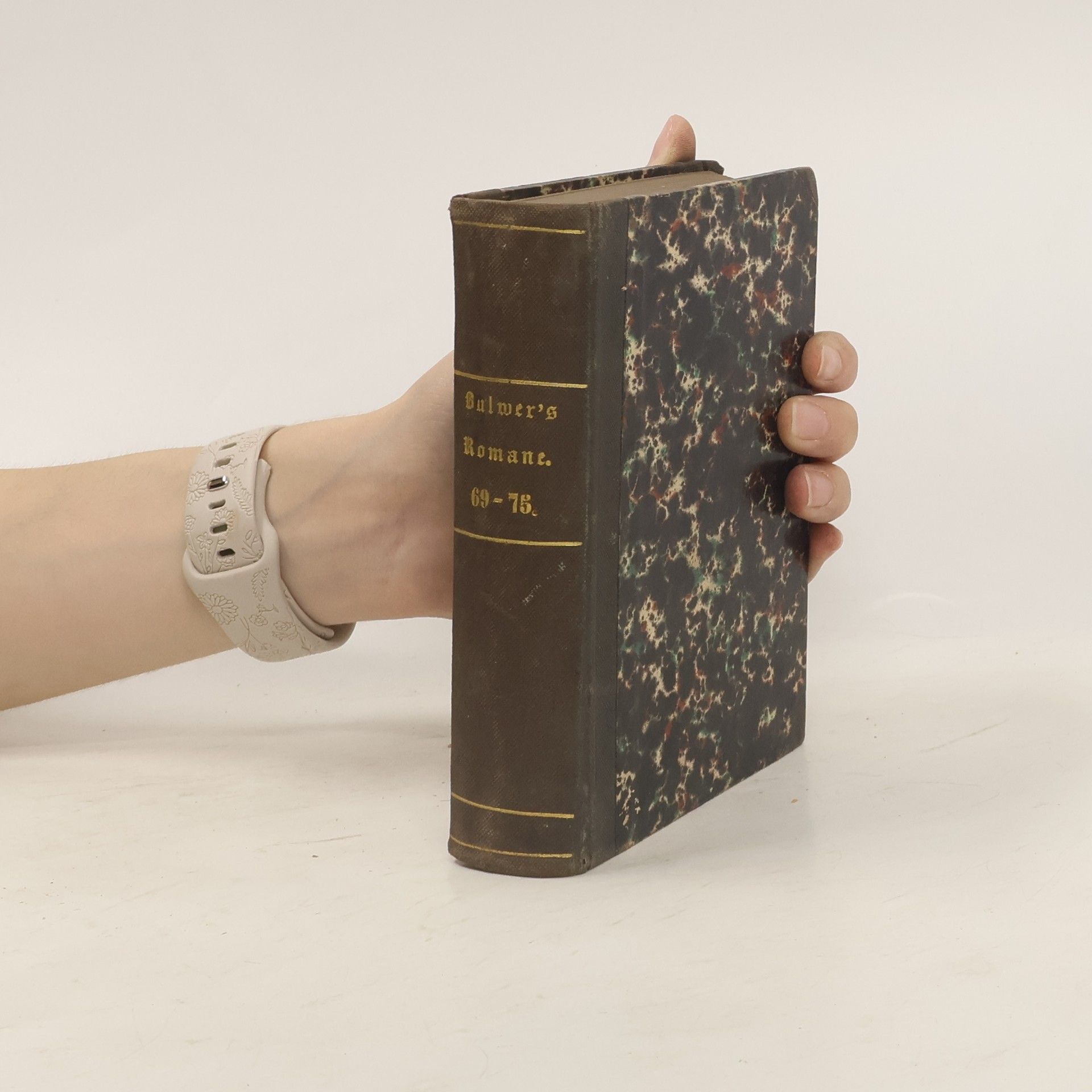 Eduard Bulwer Lytton Meine Novelle