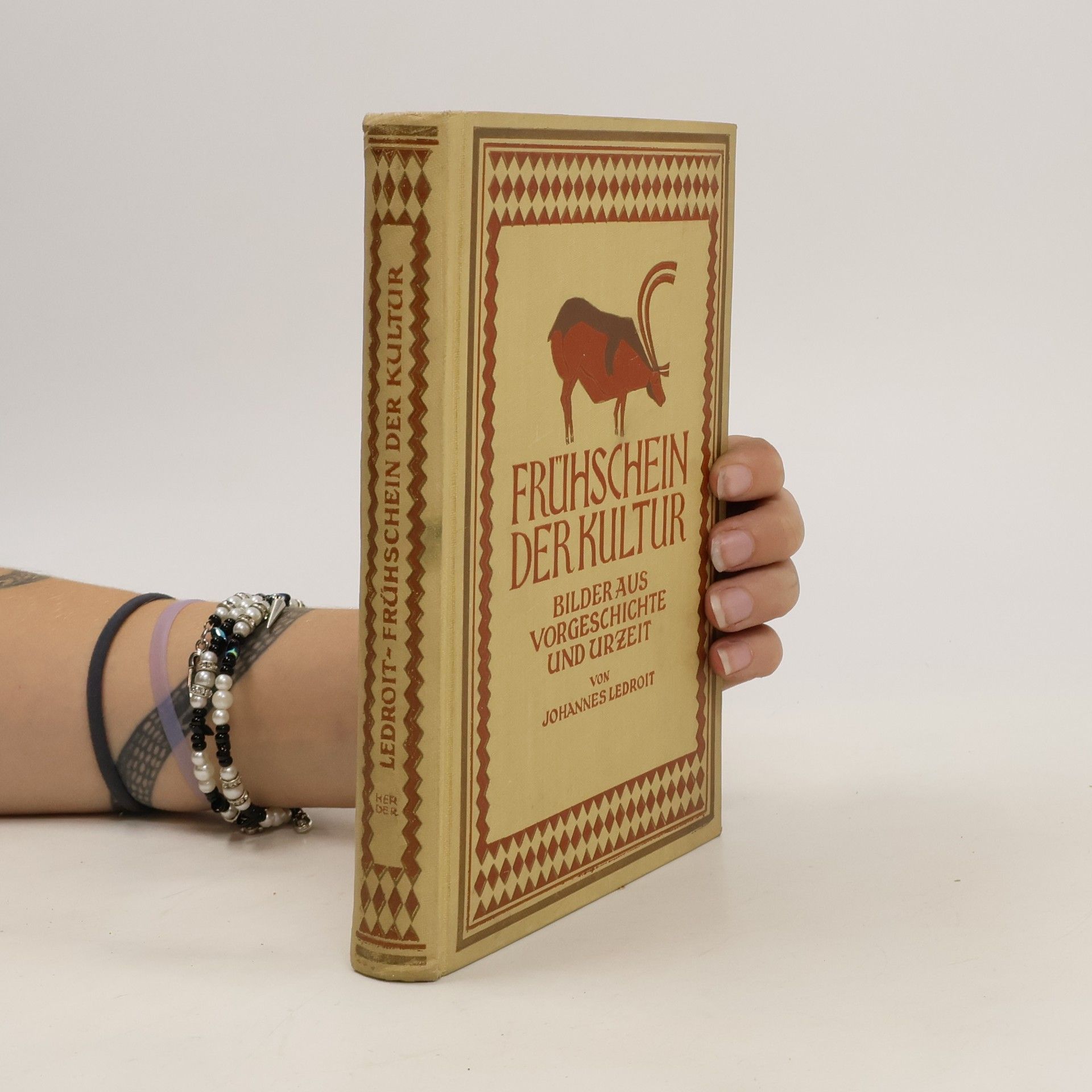 Johannes Ledroit Frühschein der Kultur : Bilder aus Vorgeschichte und Urzeit