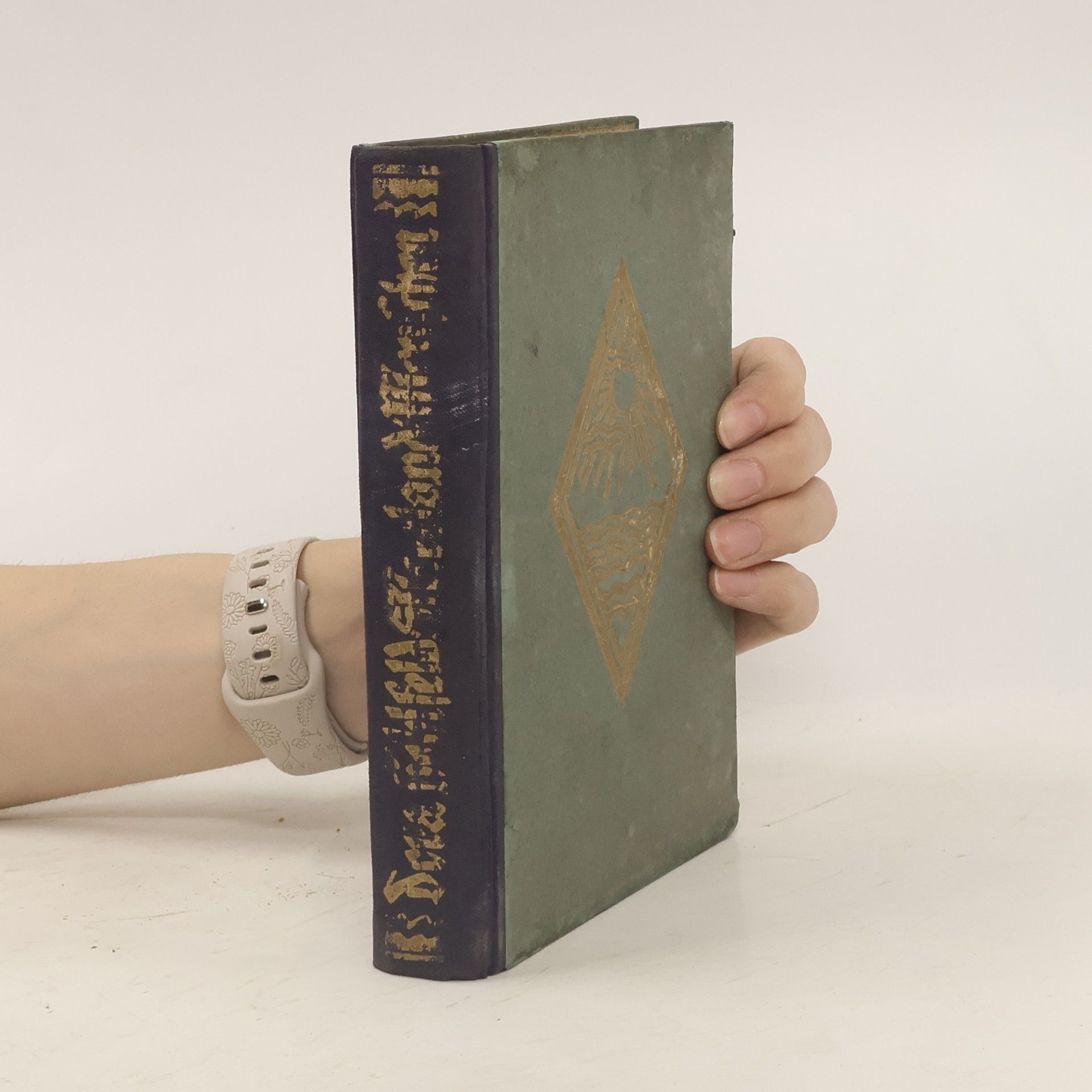 R. Fabri de Fabris Die Wacholderleute