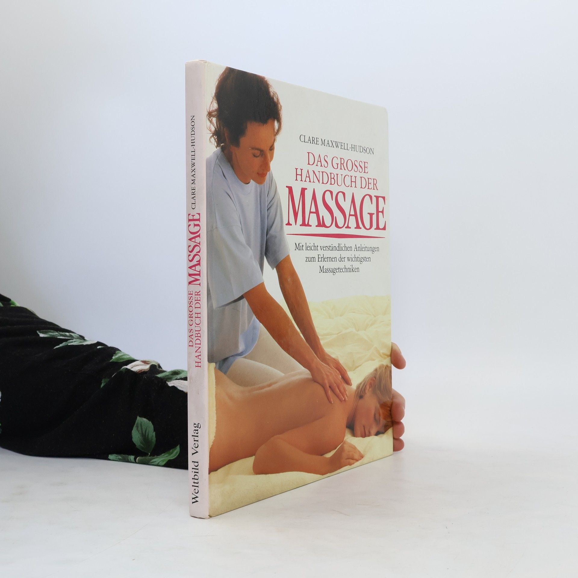 Sandra Lousada Das grosse Handbuch der Massage
