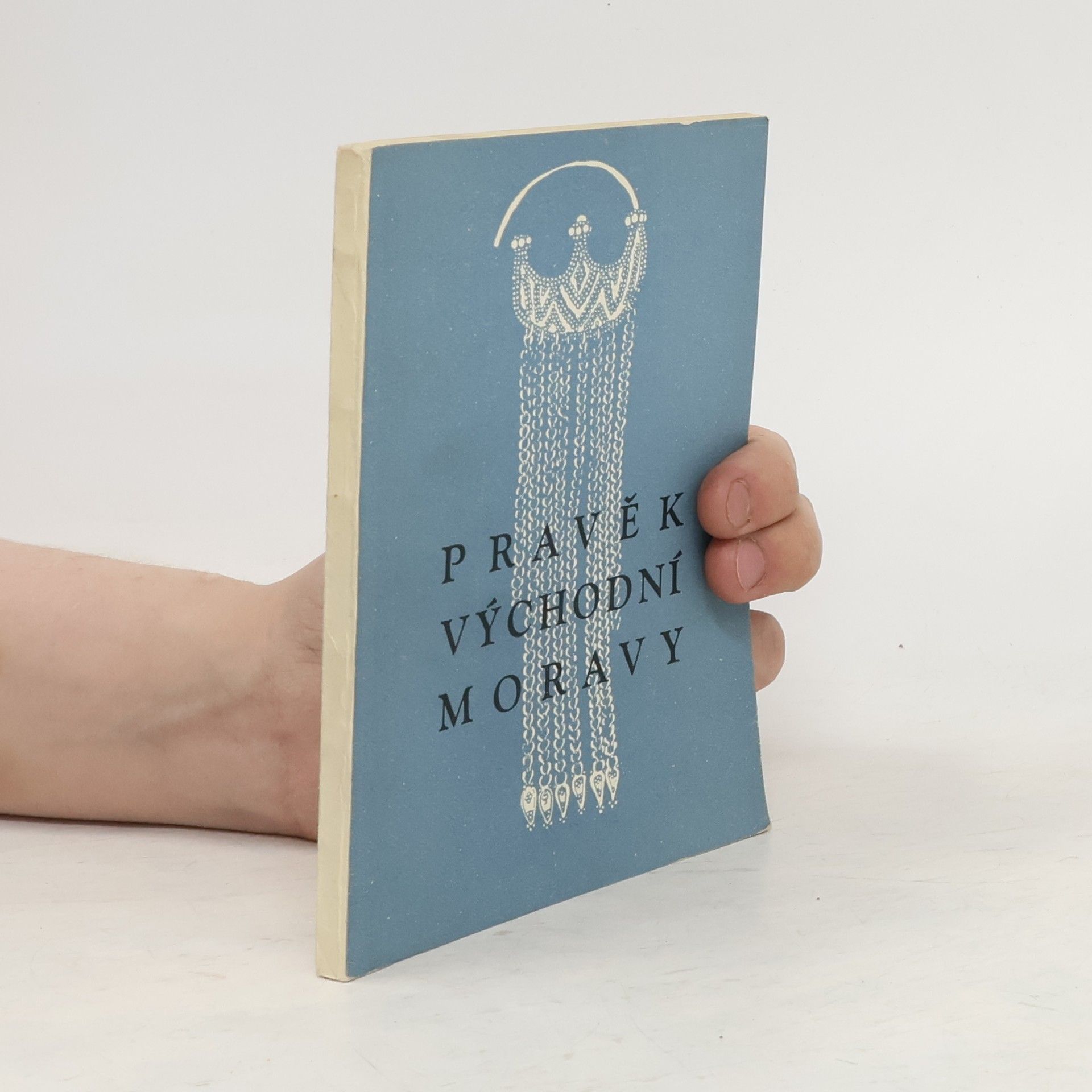 Collectif d'auteurs Pravěk východní Moravy