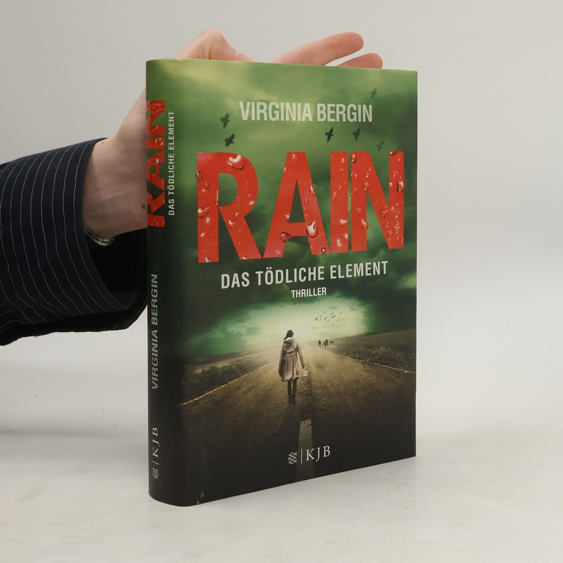 Virginia Bergin Rain - das tödliche Element
