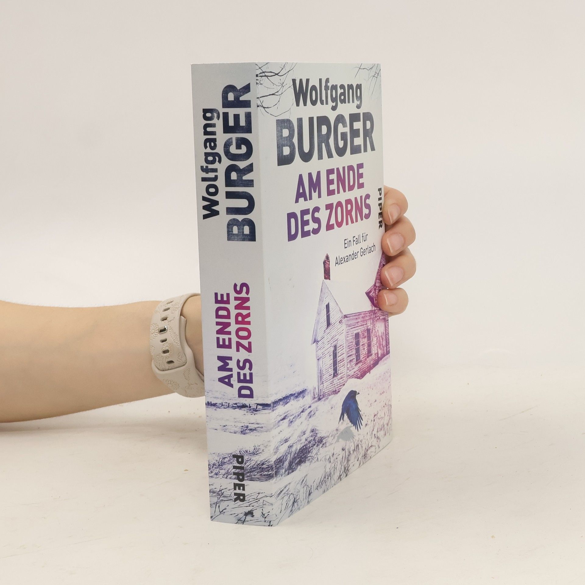 Wolfgang Burger Am Ende des Zorns